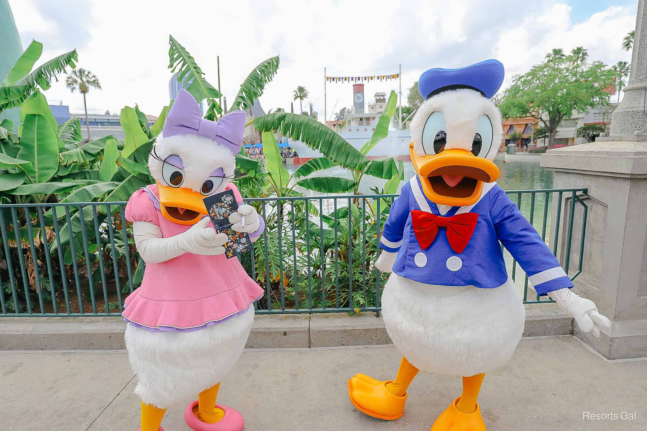 Daisy signs an autograph book while Donald poses for the camera. 