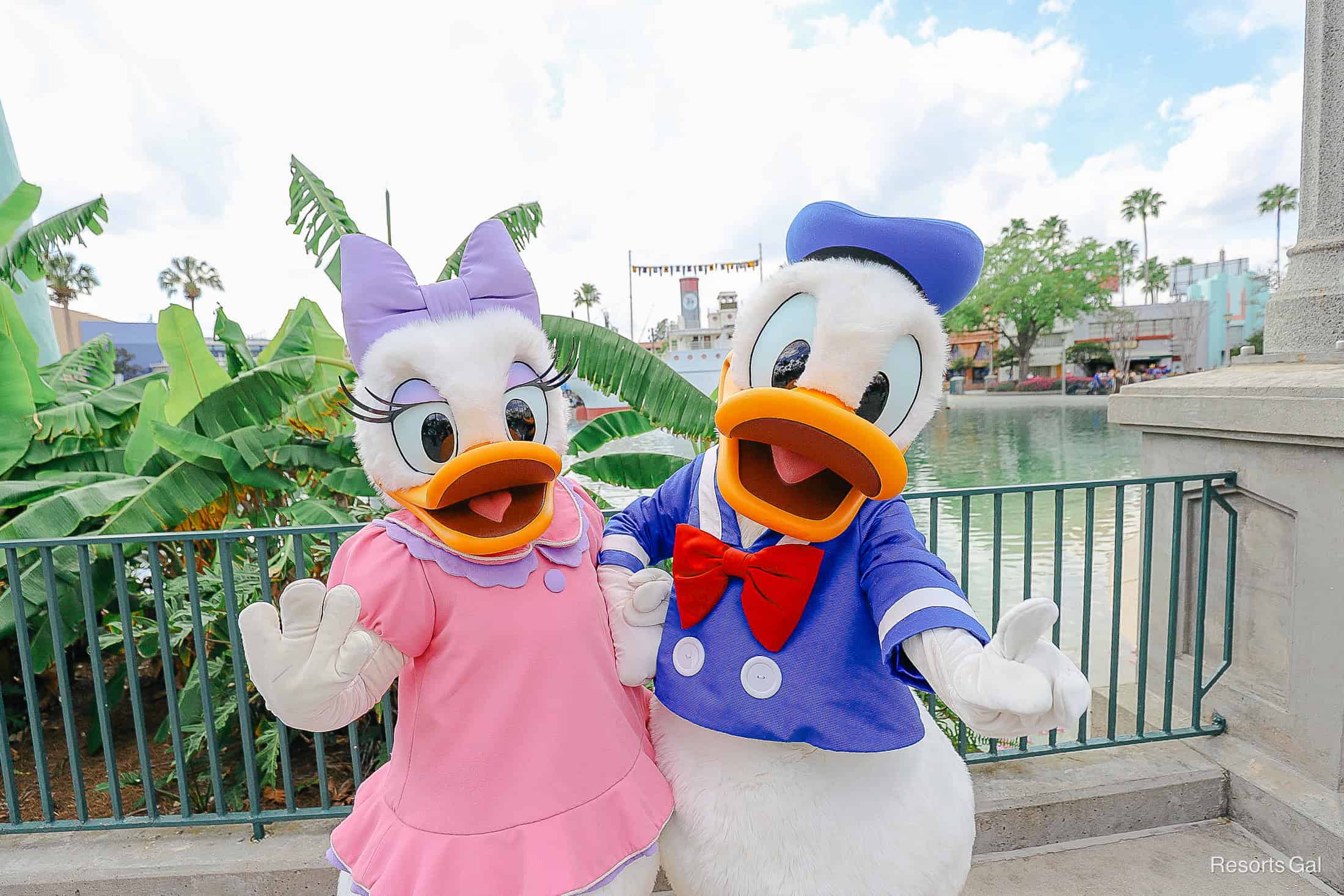 Meet Donald and Daisy Duck (Together) Near Echo Lake at Disney’s Hollywood Studios