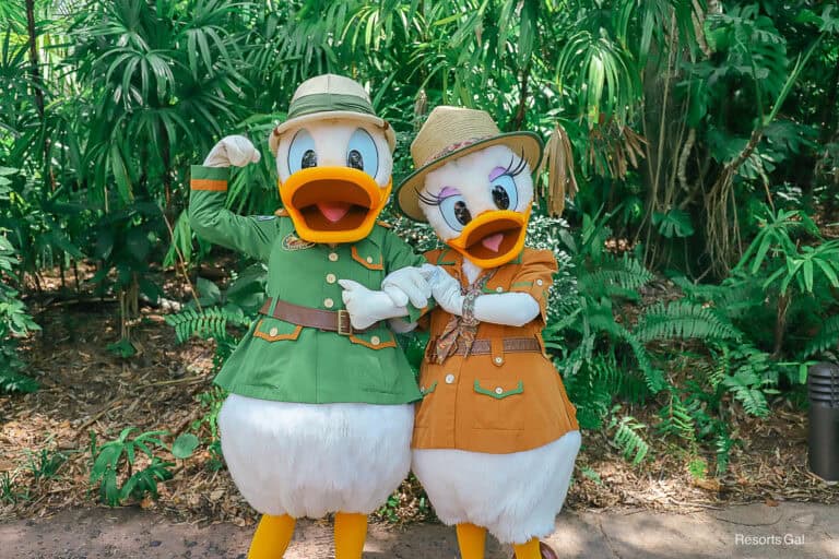 Donald and Daisy Meet Guests Near Garden Gate Gifts at Disney’s Animal Kingdom