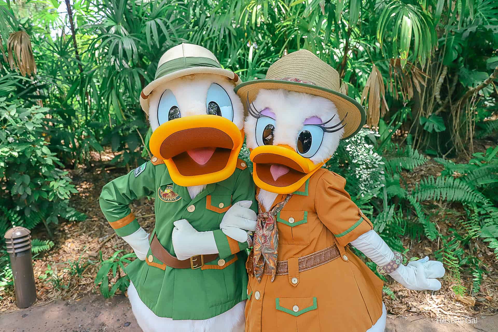 Donald and Daisy pose for a photo near Garden Gate Gifts at Disney's Animal Kingdom.