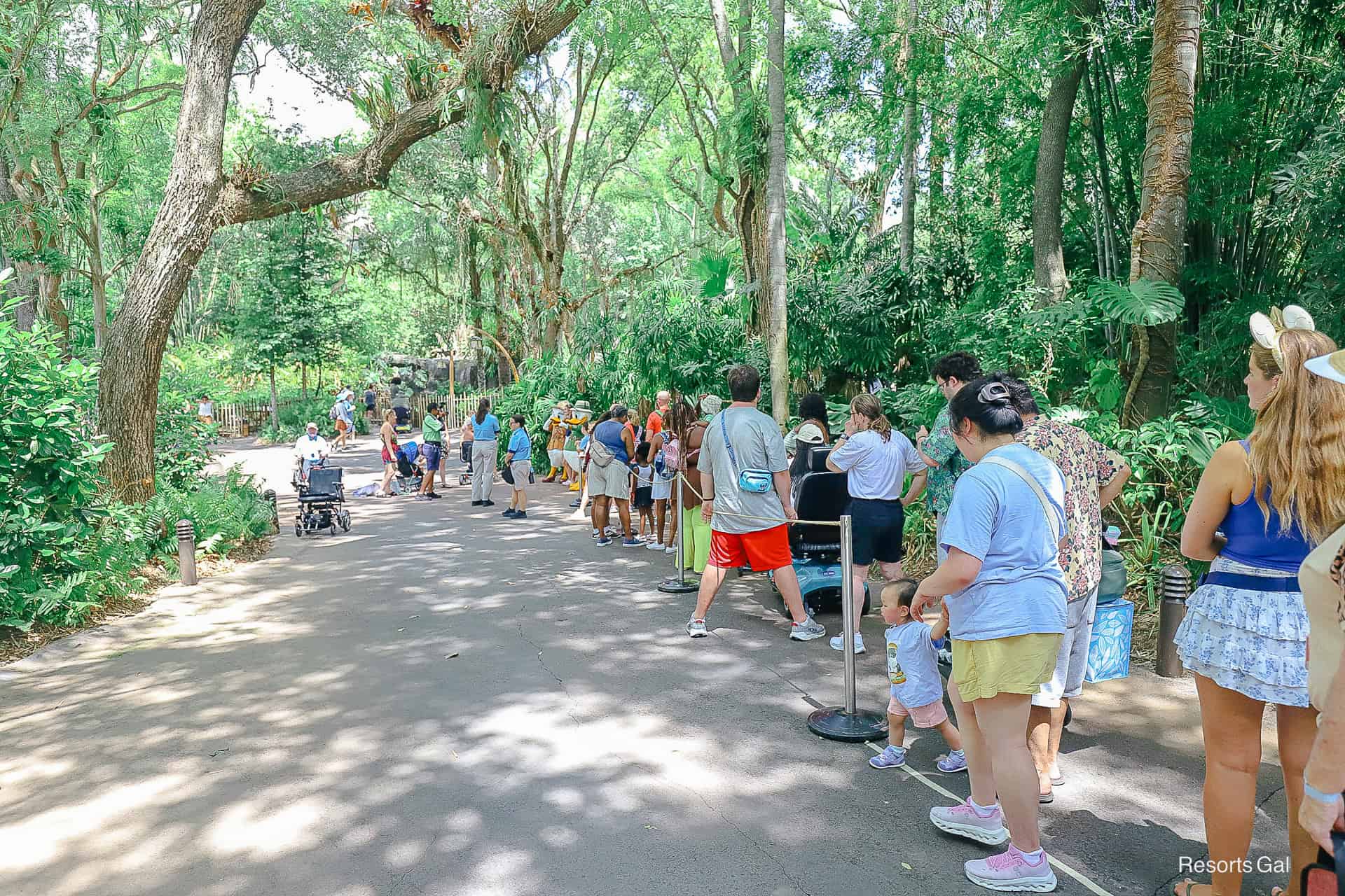 a long line of guests waiting to meet Donald and Daisy Duck