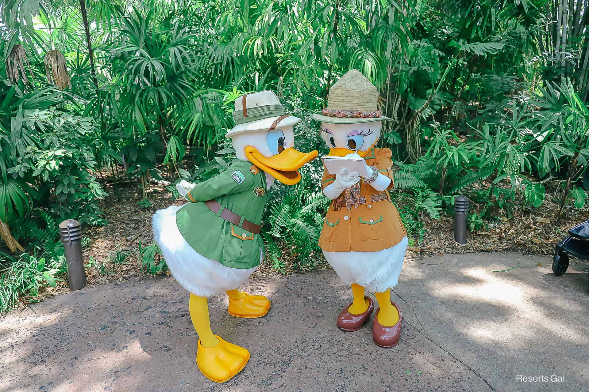 Daisy signing her autograph as Donald looks on.