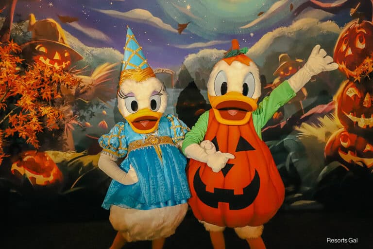Donald and Daisy Duck Halloween Party meet-and-greet