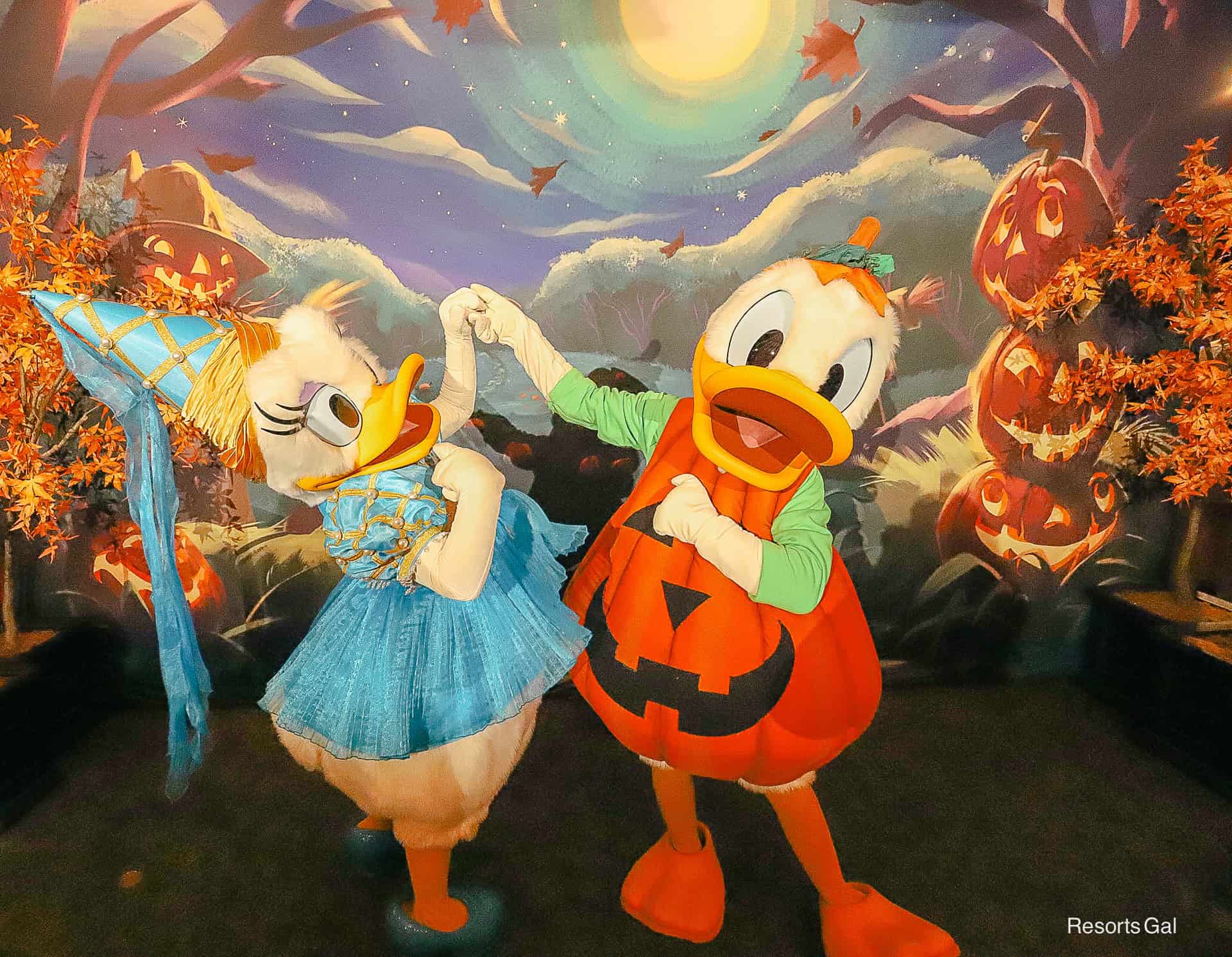 Donald and Daisy together at Mickey's Not So Scary Halloween Party 