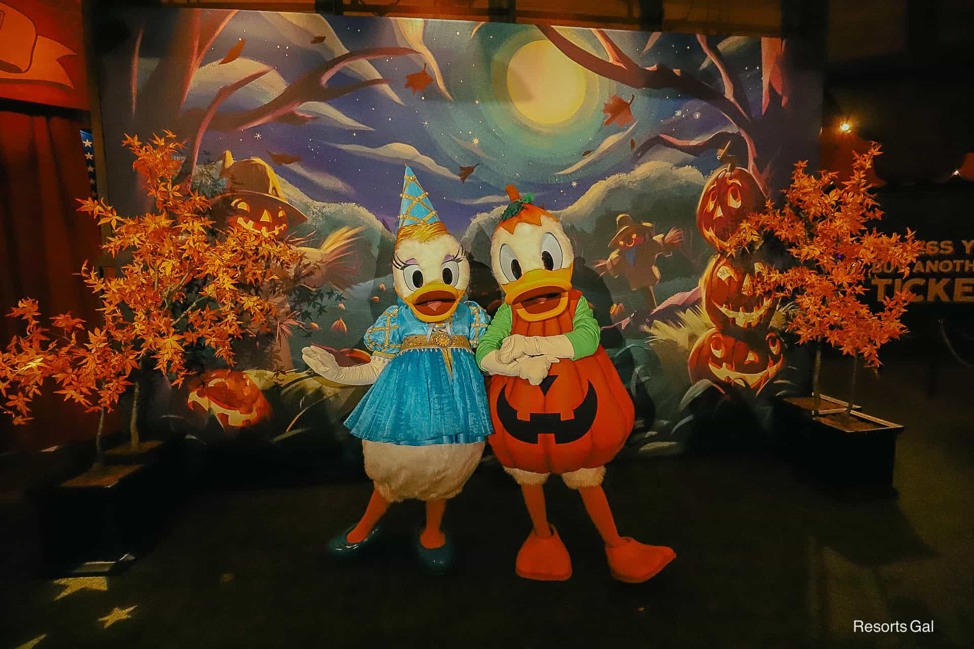 full shot of Daisy with Donald and Halloween themed backdrop 