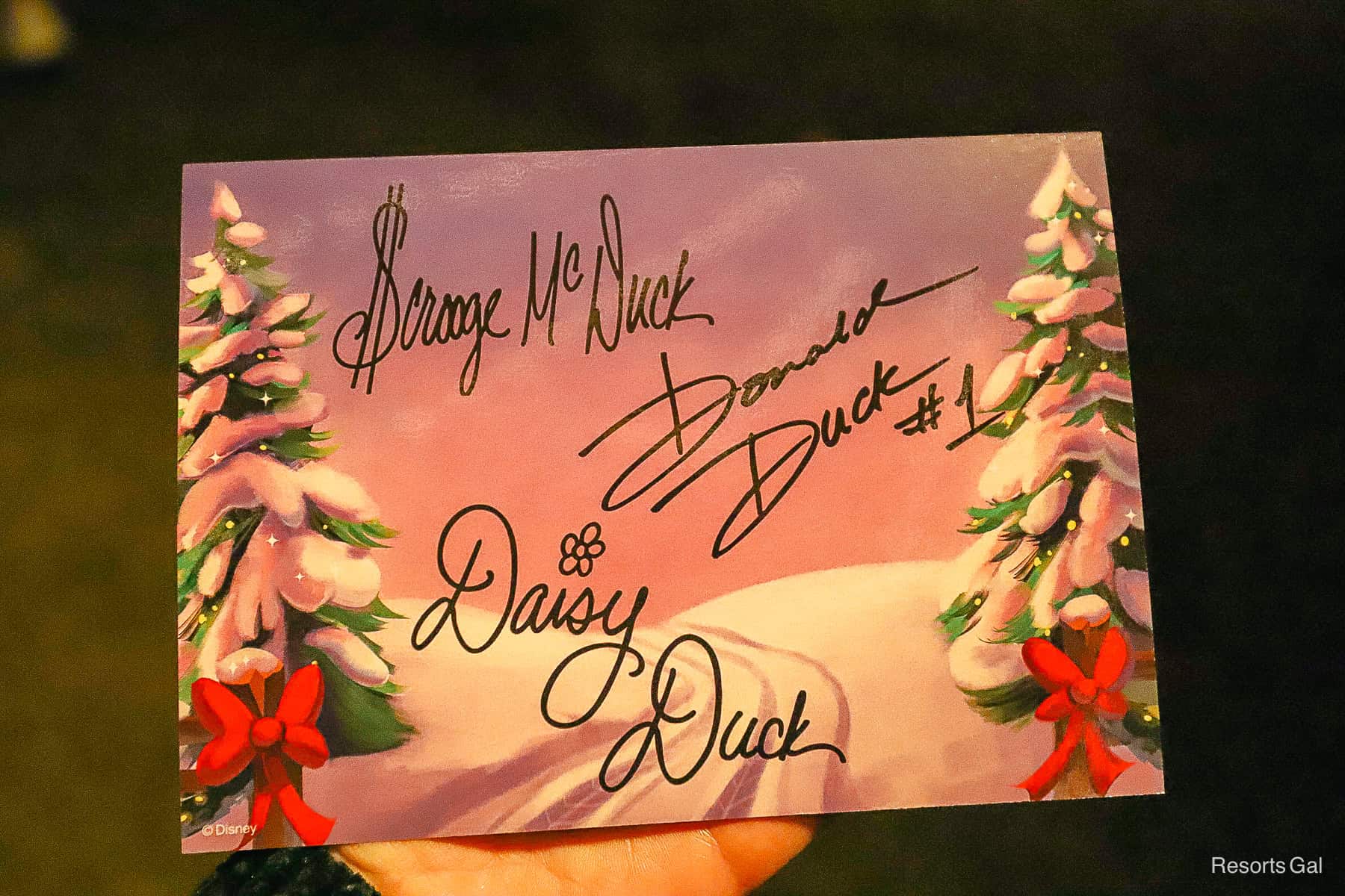 the back of the autograph card has Scrooge, Donald, and Daisy Duck's signatures 