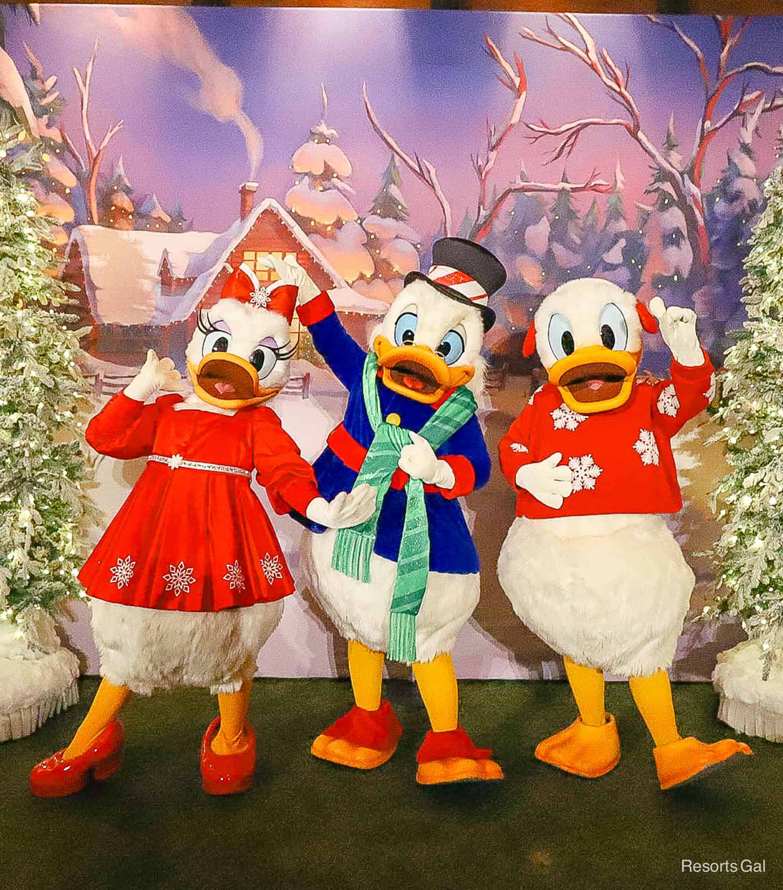 Daisy Duck (far left) in red snowflake dress, Scrooge (middle) with green holiday scarf, and Donald Duck (far right) in red snowflake sweater 