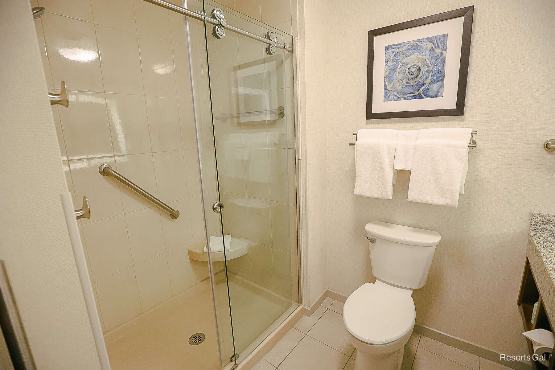 Walk-in Shower and Toilet 