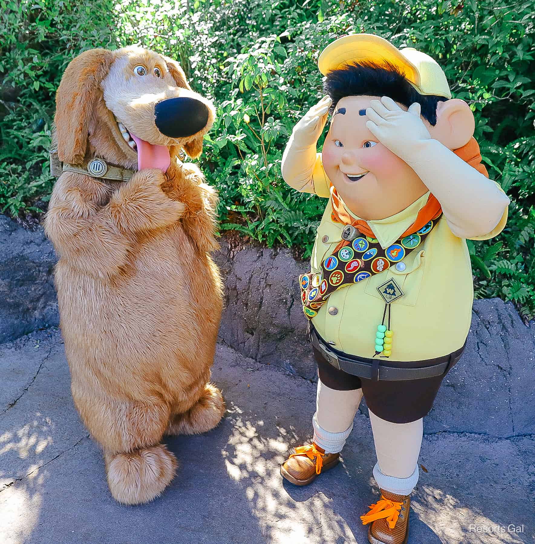 Russell and Dug getting ready to have their picture taken.