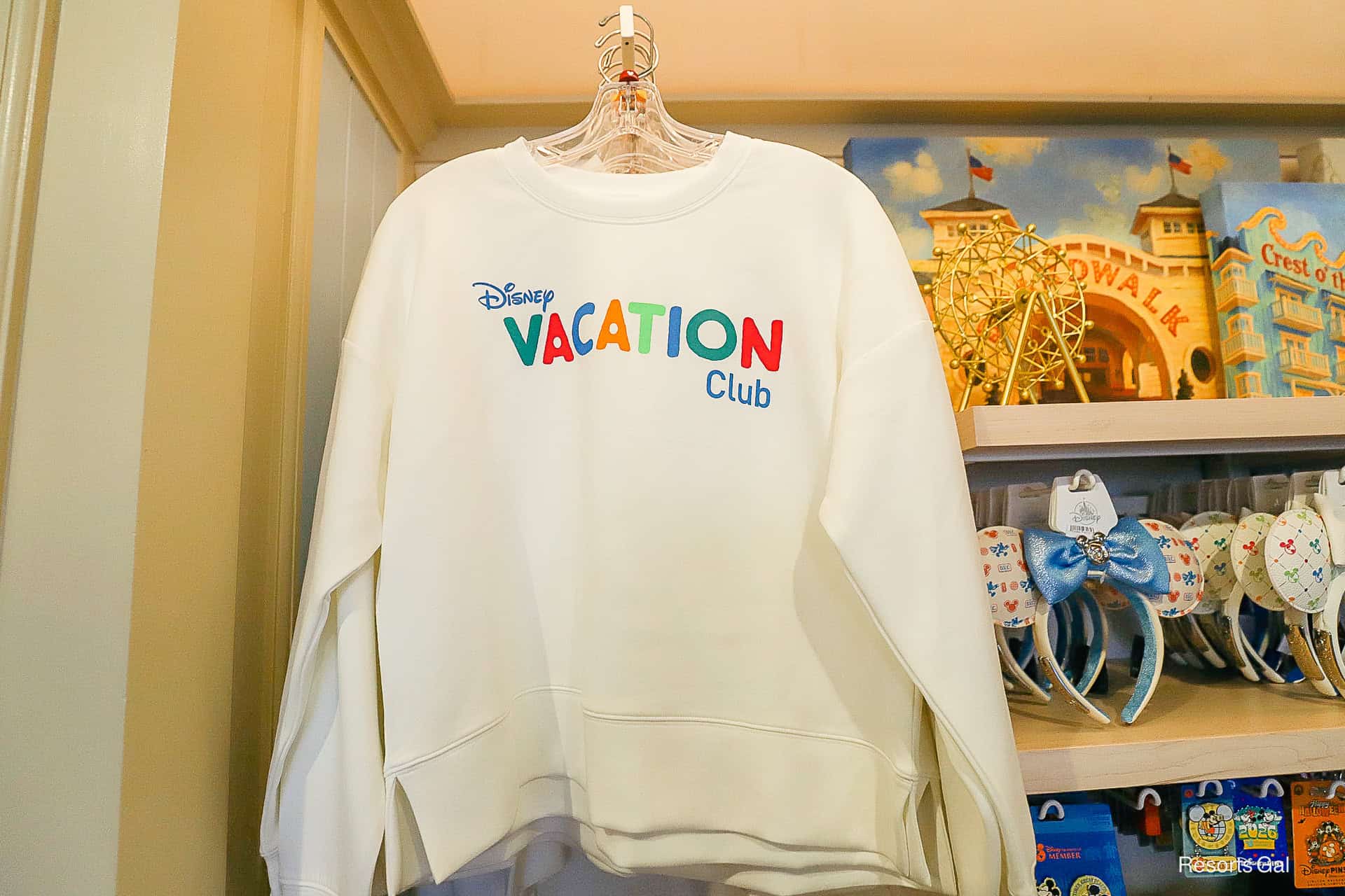 DVC Color Letter Sweatshirt
