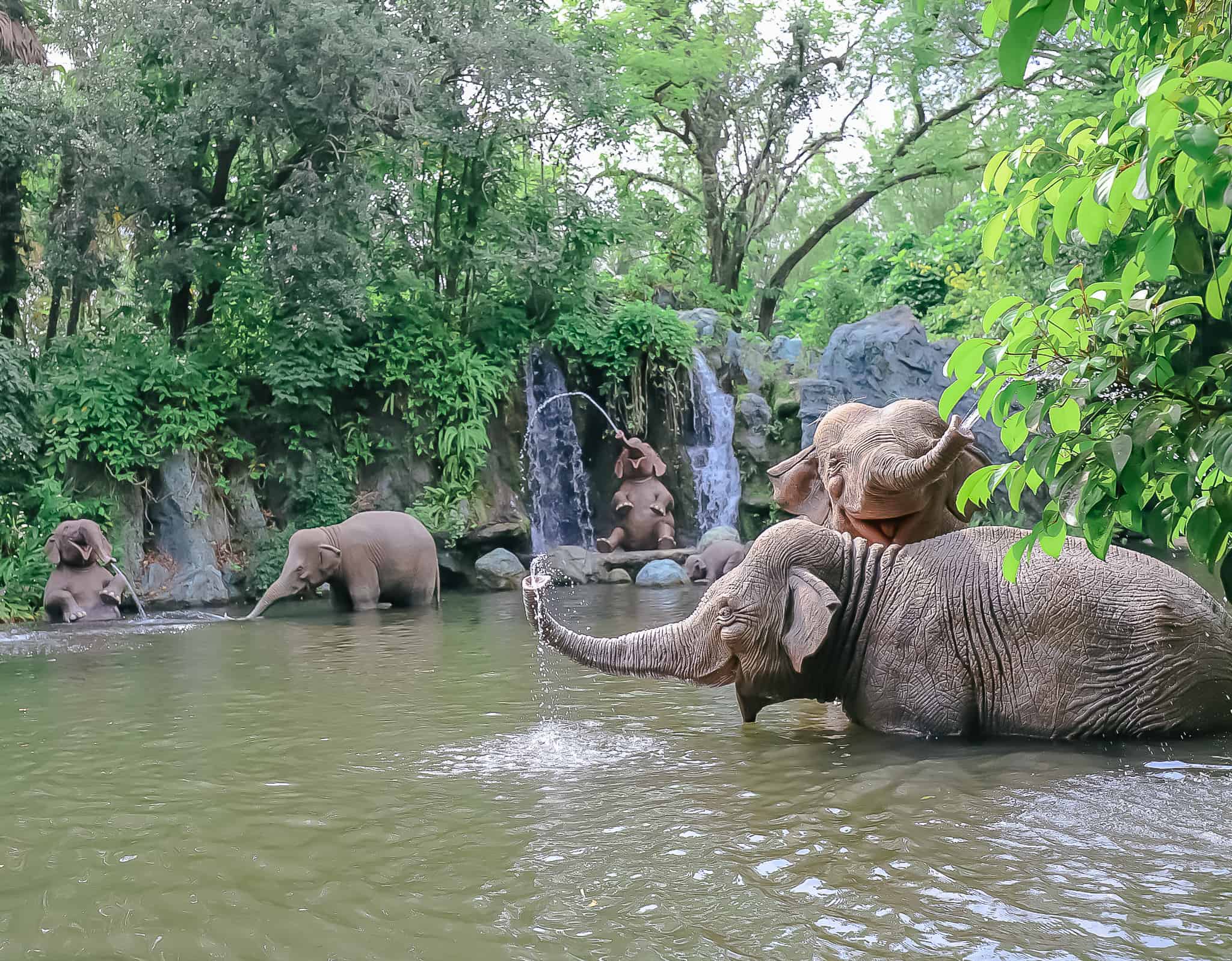 several elephants playing in the water 