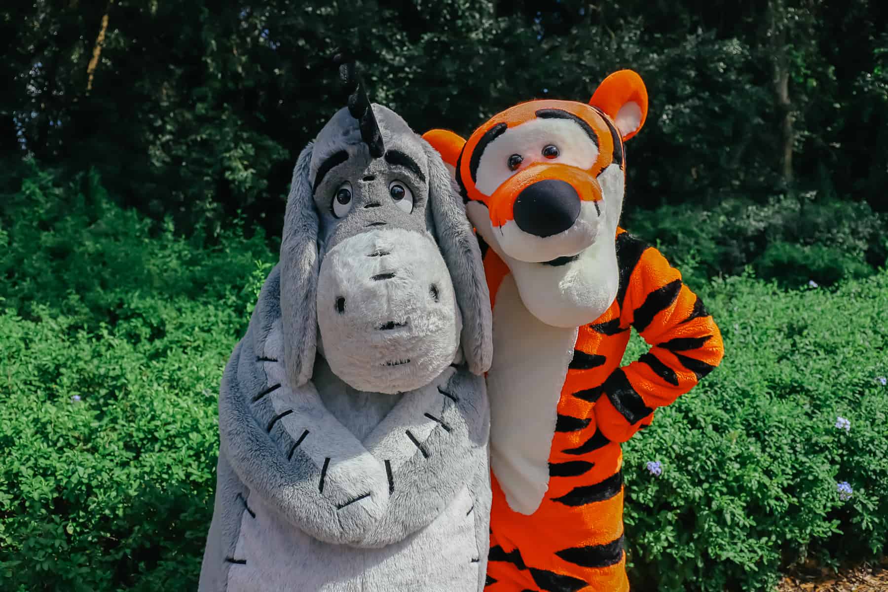 Eeyore and Tigger 