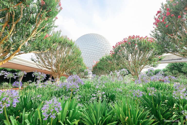 September 2026 Disney World Extended Evening Hours Schedule
