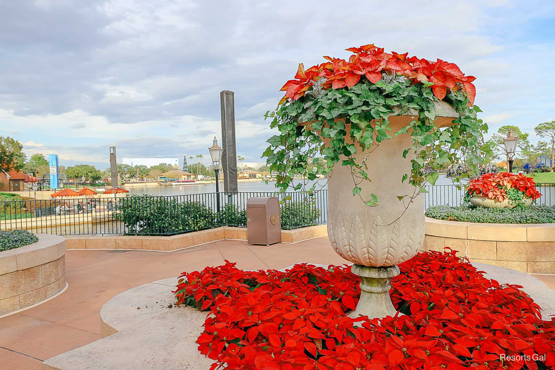 a planted pot with poinsettias at Epcot during the Festival of the Holidays