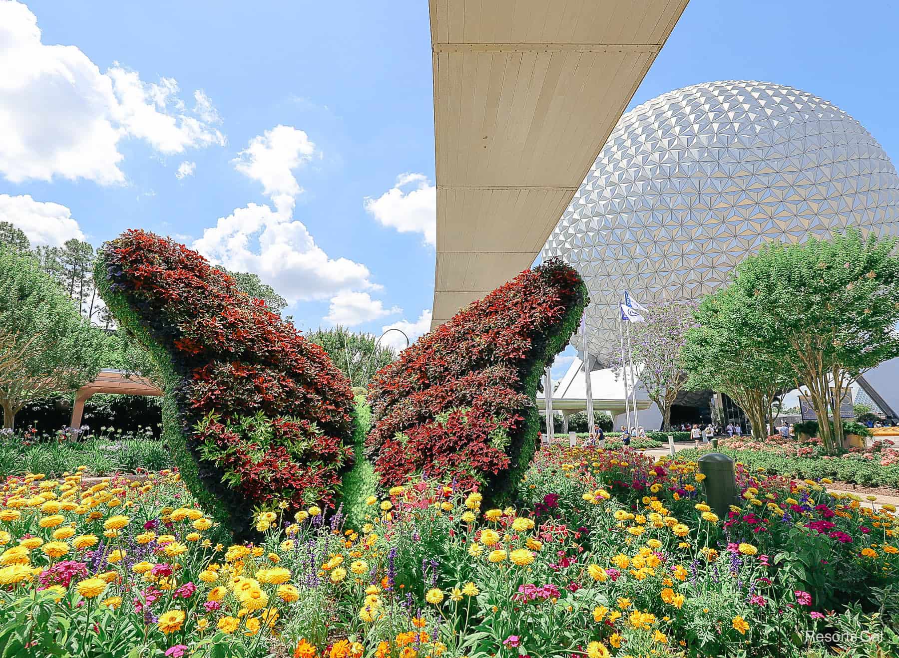 a butterfly topiary under the monorail beam at Epcot 