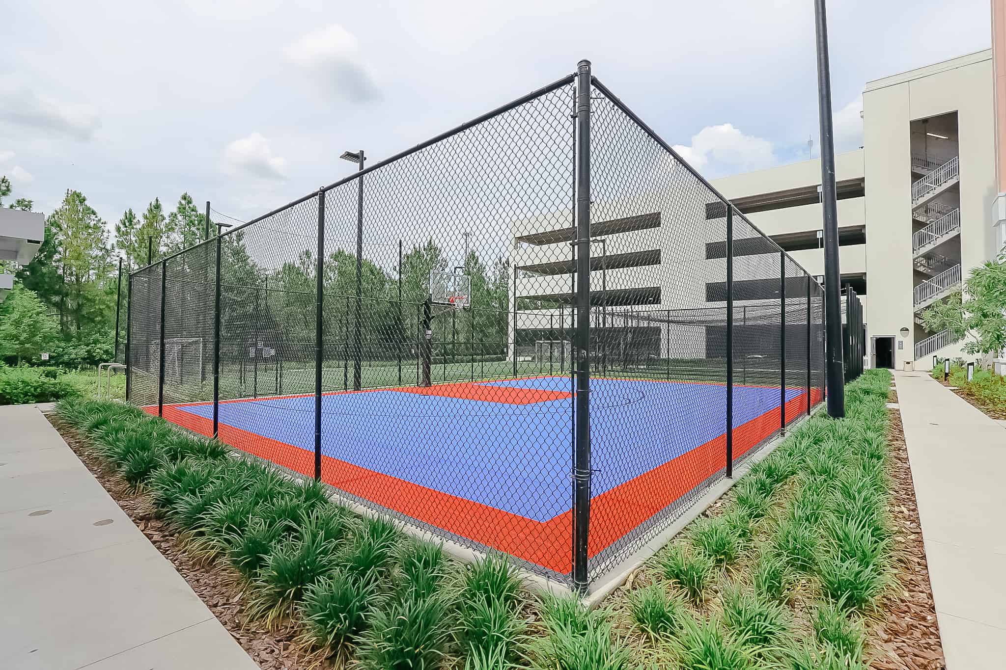 basketball court 