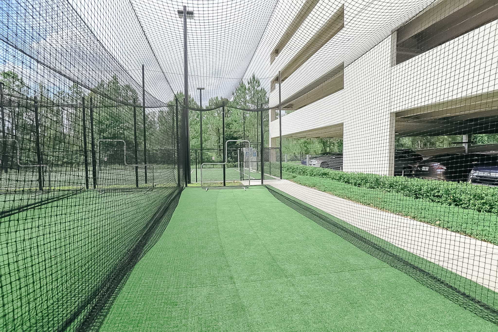 batting cage 