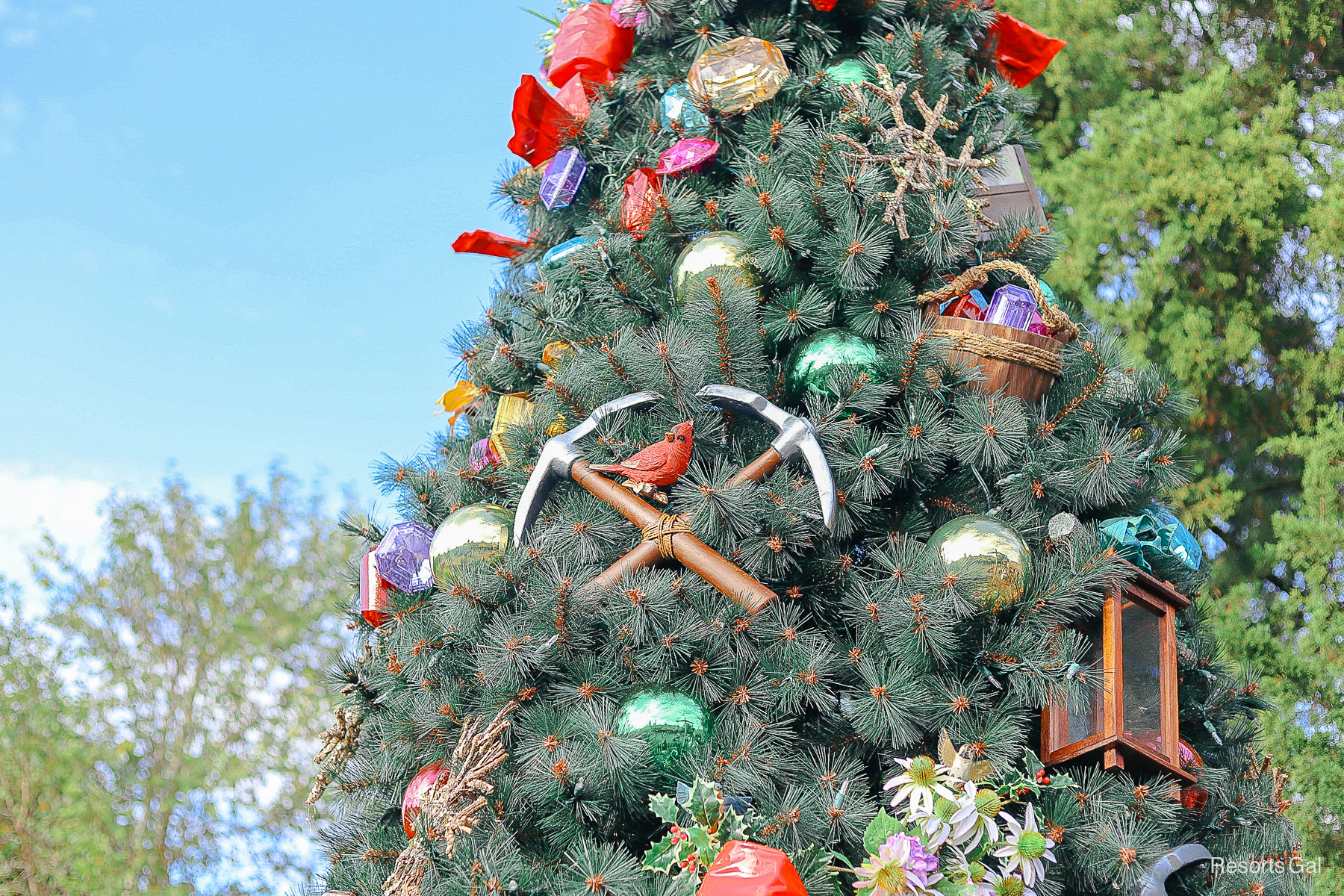 two pick axes with a red Cardninal nested in the holiday decor 