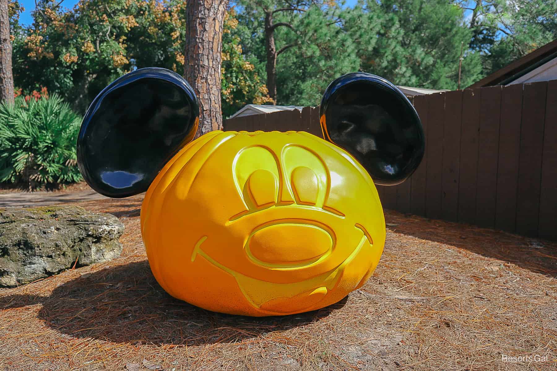 Disney’s Fort Wilderness Resort Posts Halloween Activities for 2025