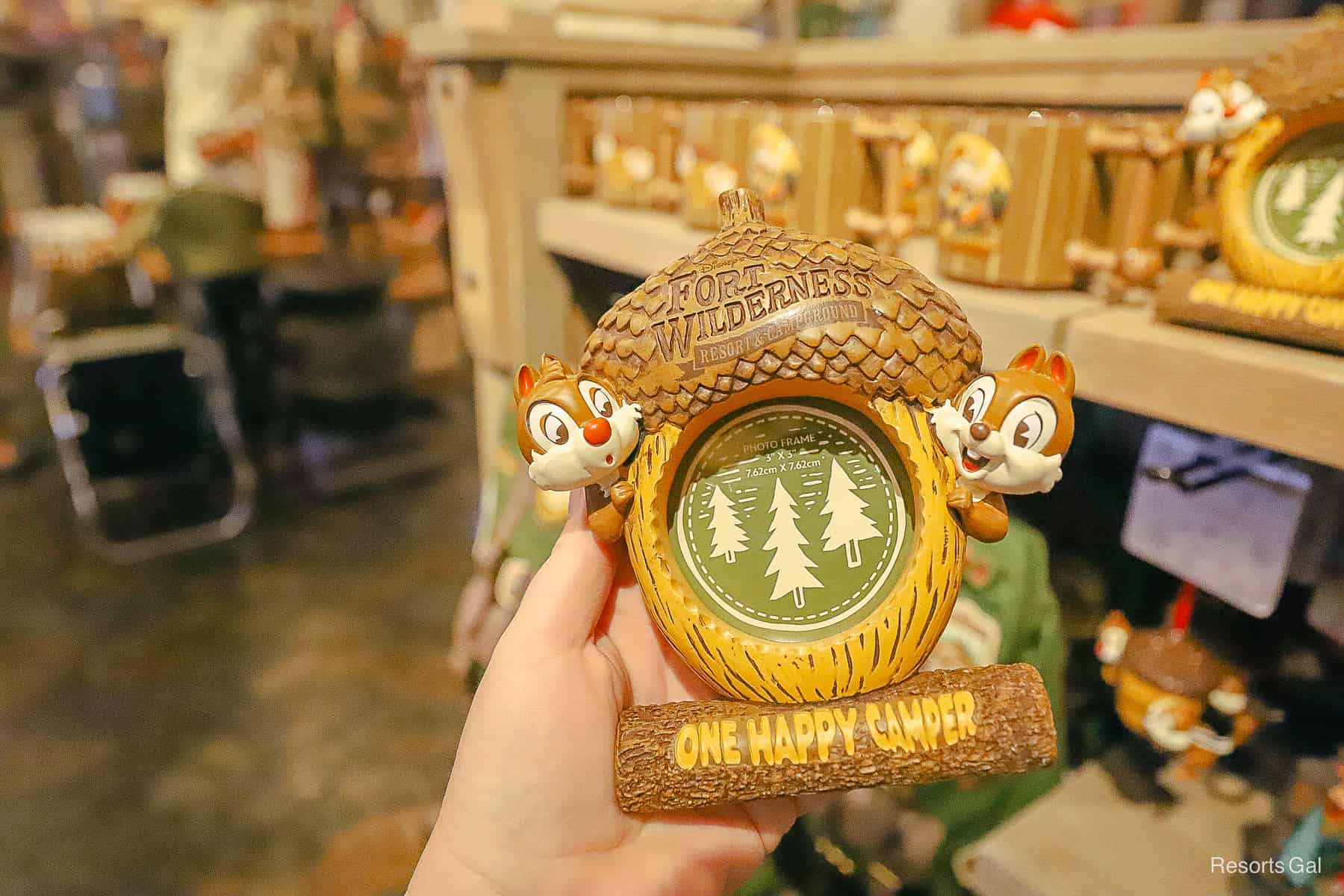 a photo frame with Chip and Dale