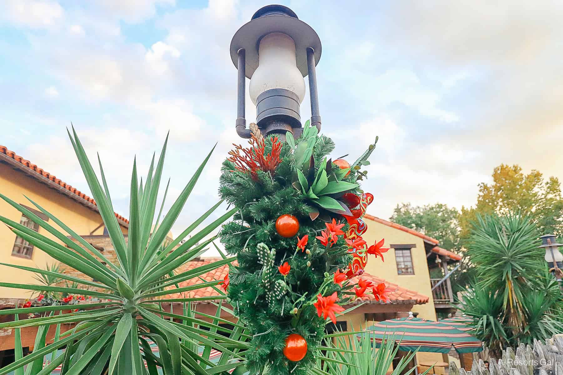 a lamp post in the far end of Frontierland with cactus and red flowers as Christmas decorations 