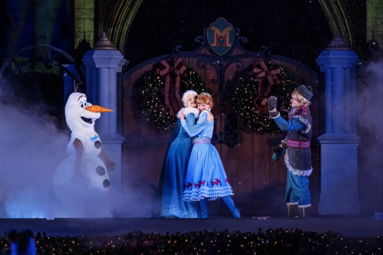 Frozen Holiday Surprise