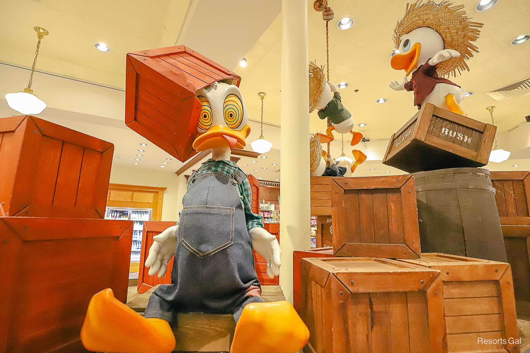 Donald Duck themed area in Port Orleans Riverside gift shop. Donald has crazy eyes. 