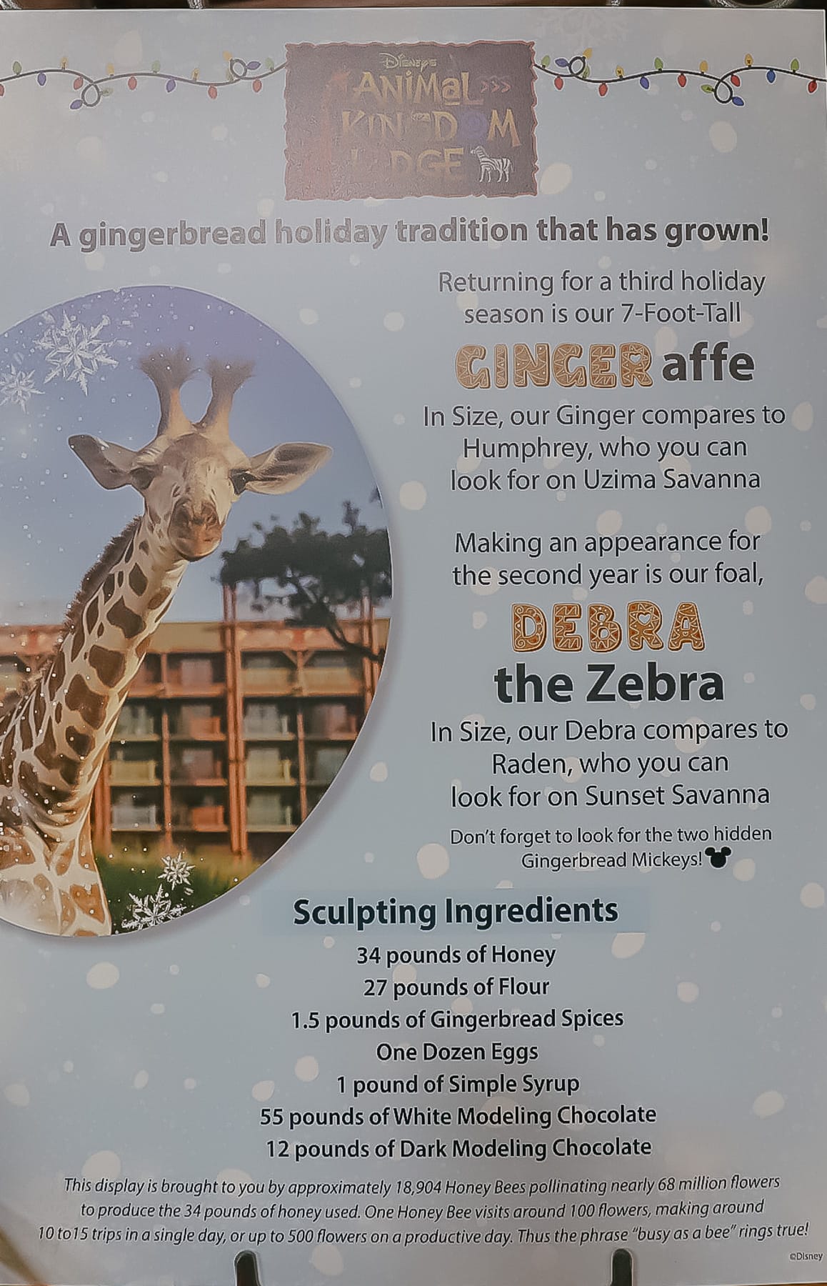 history of the gingerbread display at Disney's Animal Kingdom Lodge 