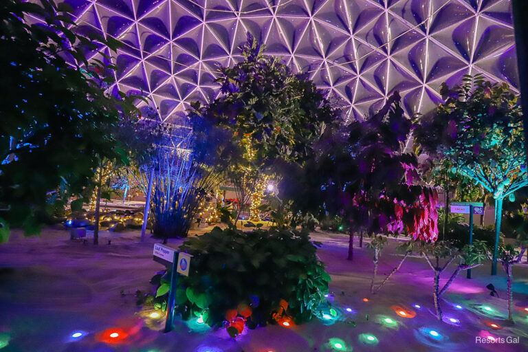 Living with the Land – Glimmering Greenhouses