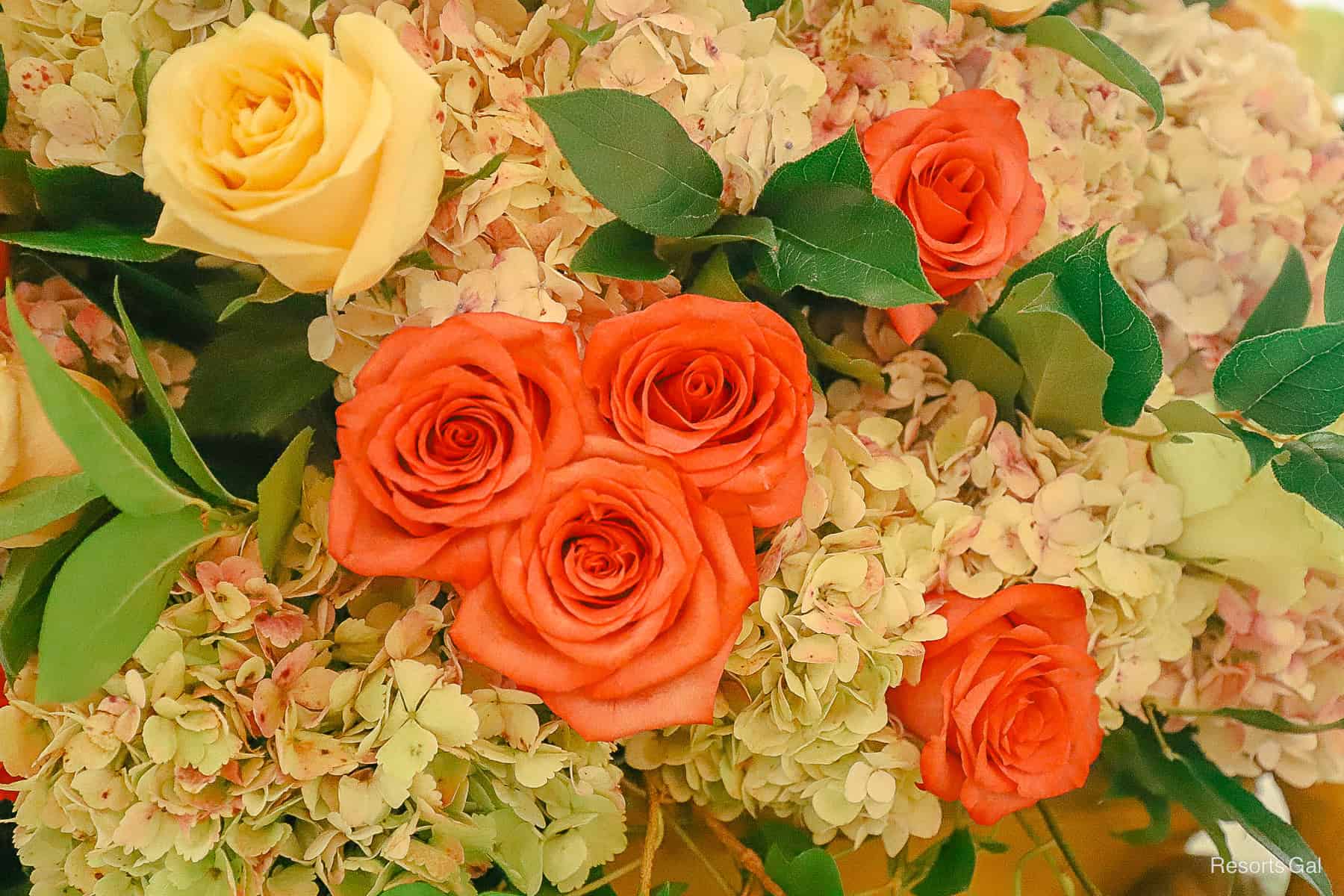 a trio of pink roses make a hidden Mickey in the Grand Floridian's floral arrangement 