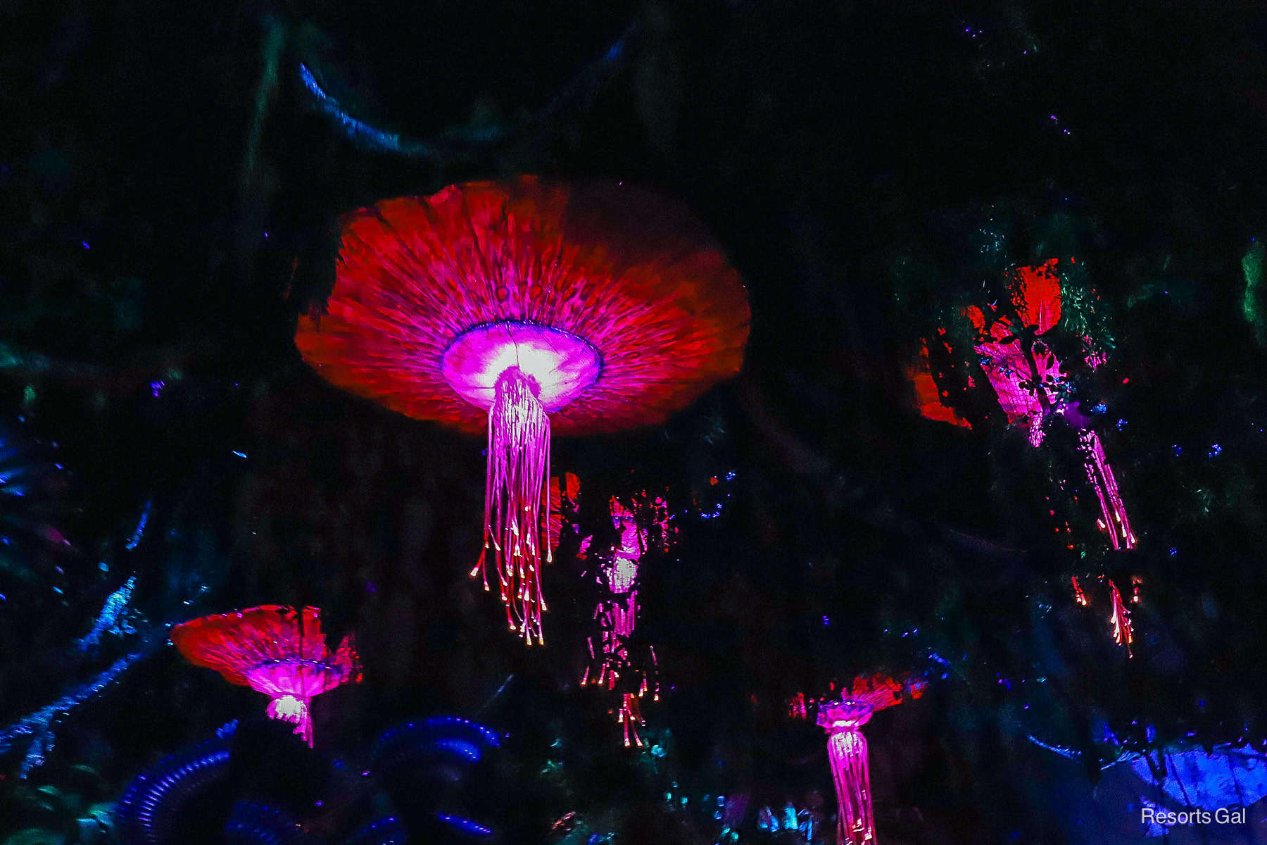interior ride elements that look like hot pink jelly fish on Na'vi River Journey 
