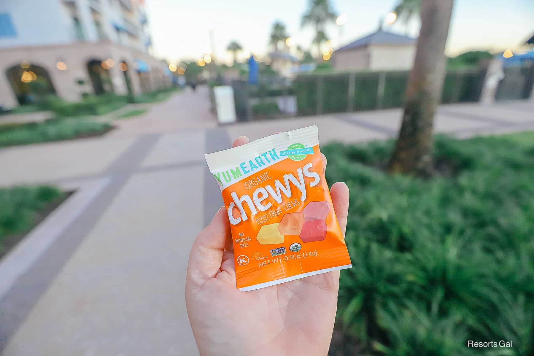 an allergy friendly treat at the Disney Resort Hotels