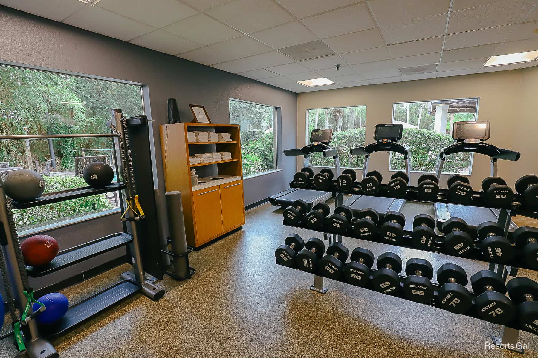 Weights and Equipment 