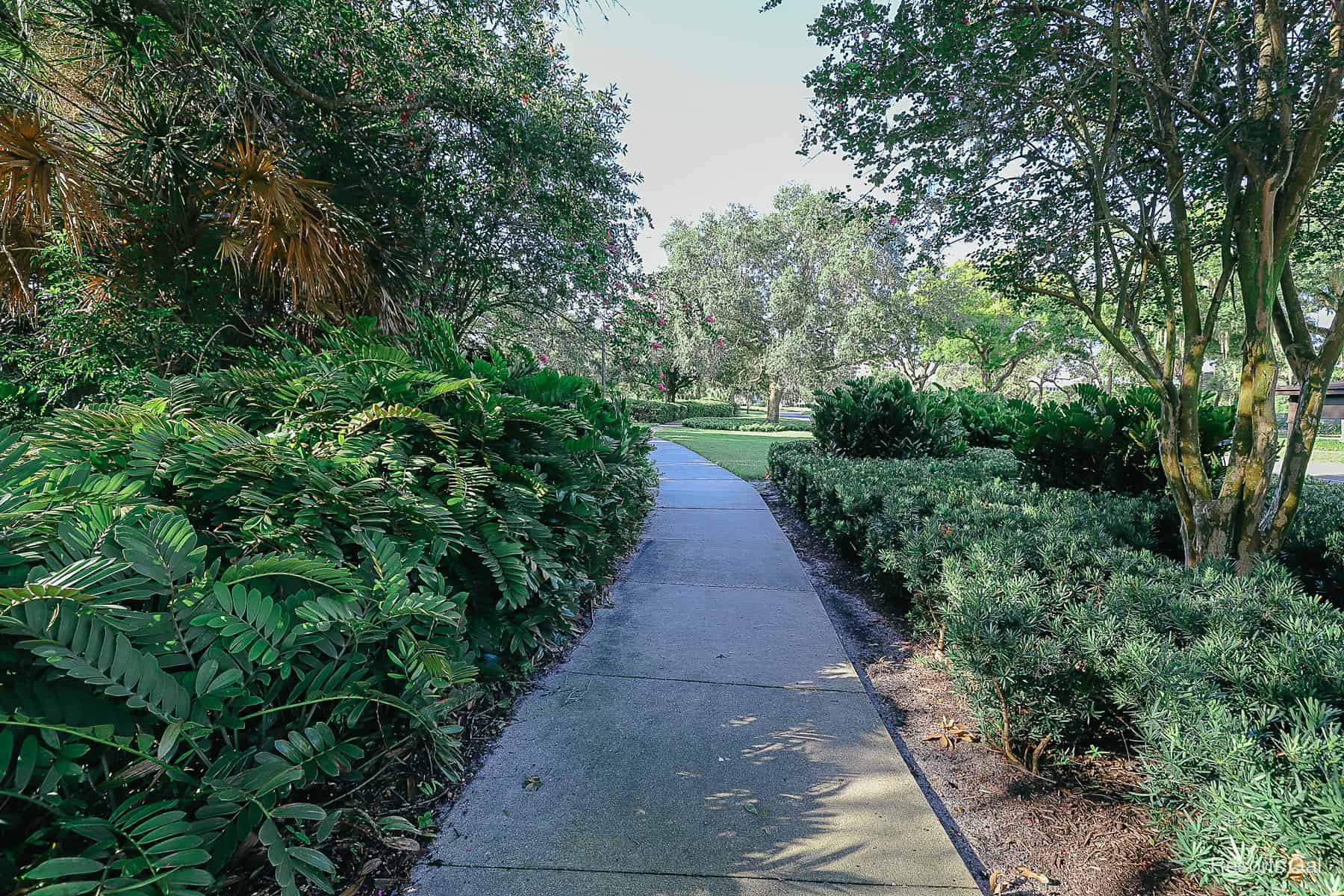 walkway to the path that leads to Disney Springs 