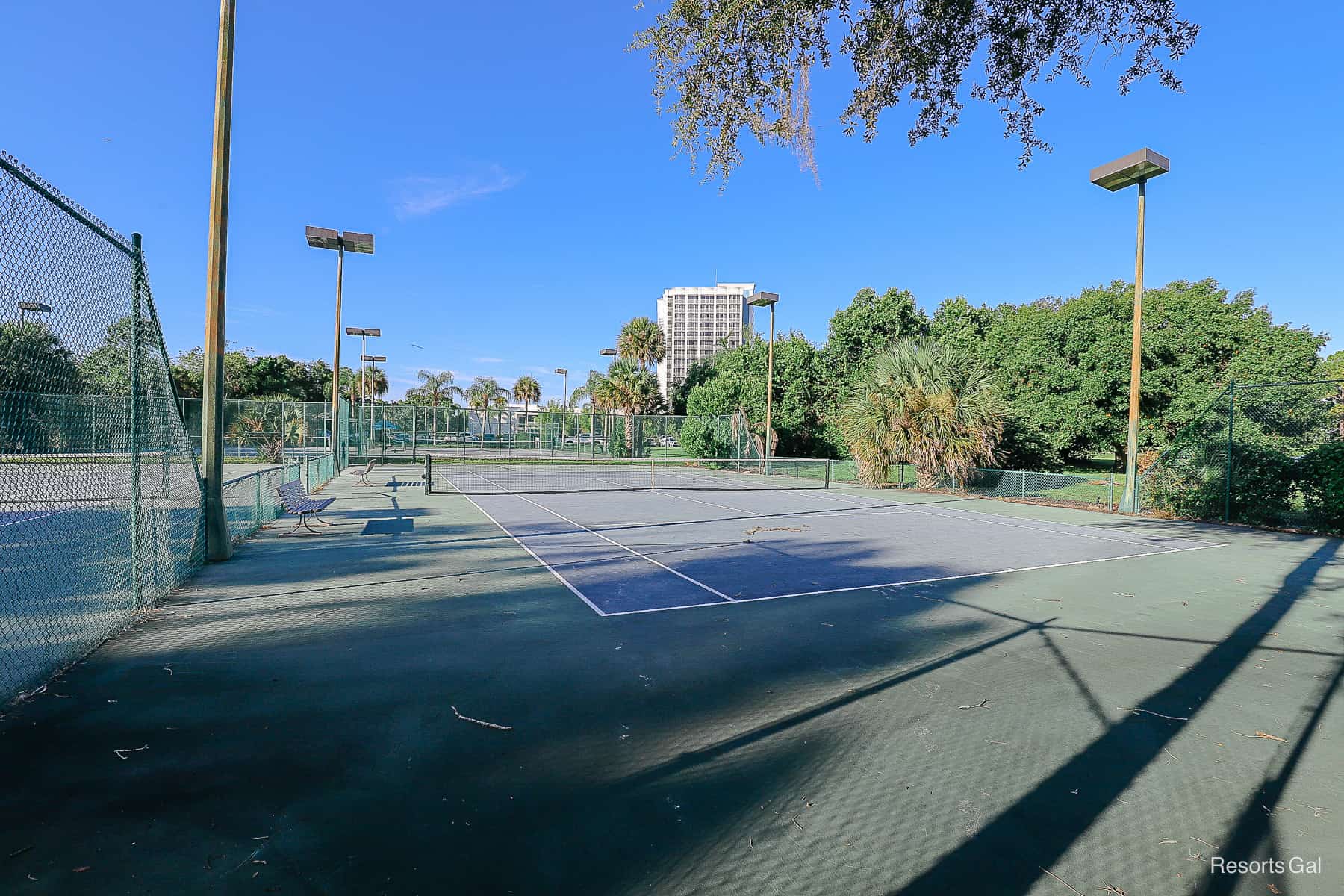 tennis courts or pickleball 