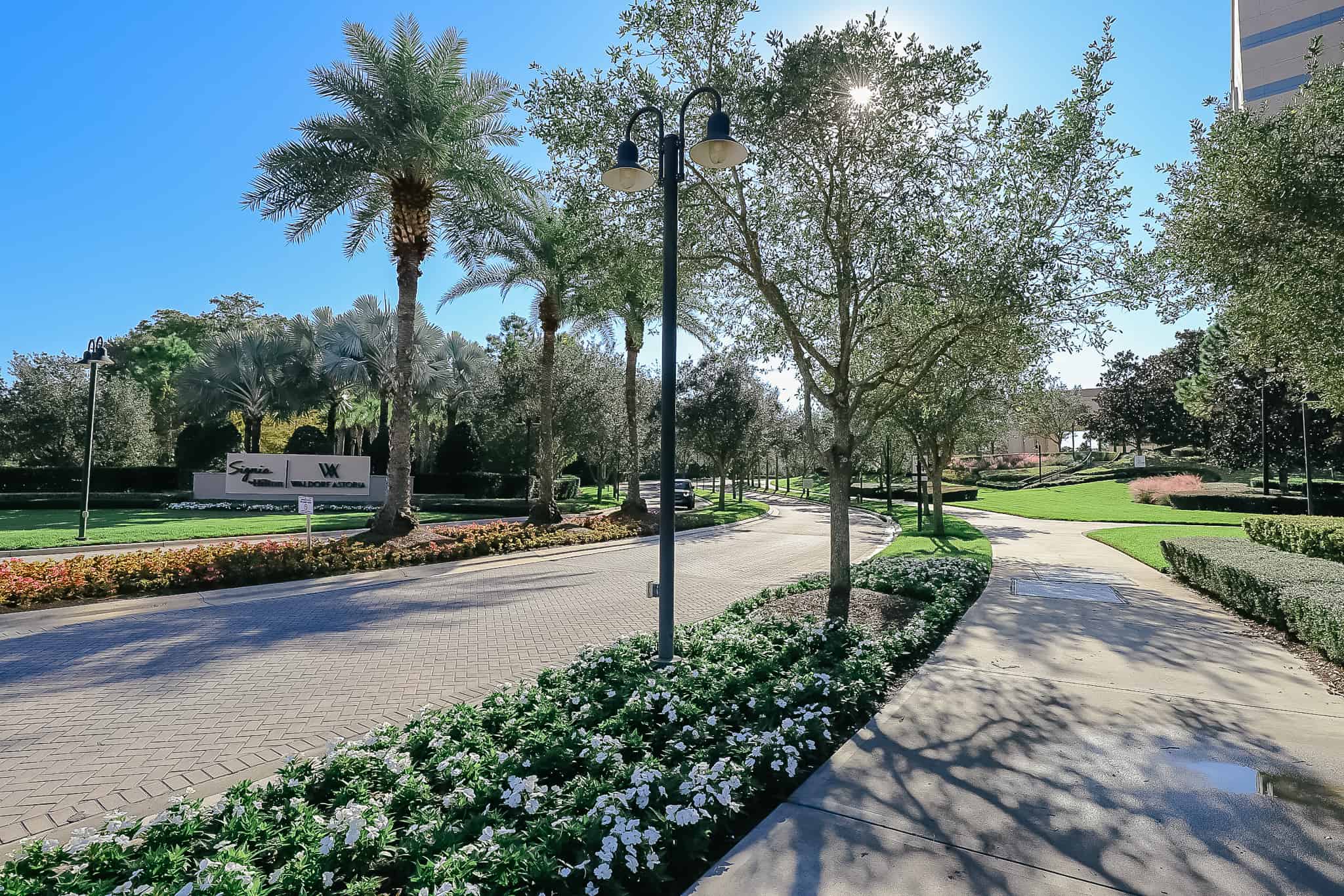 the drive up to the hotels at Bonnet Creek