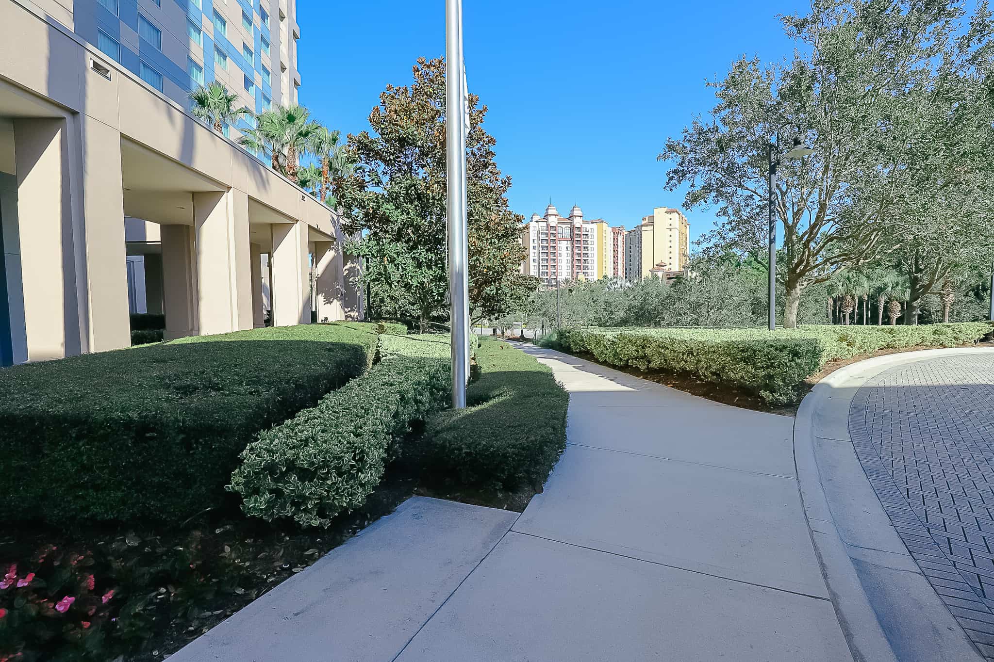 walkway to the bus stop 