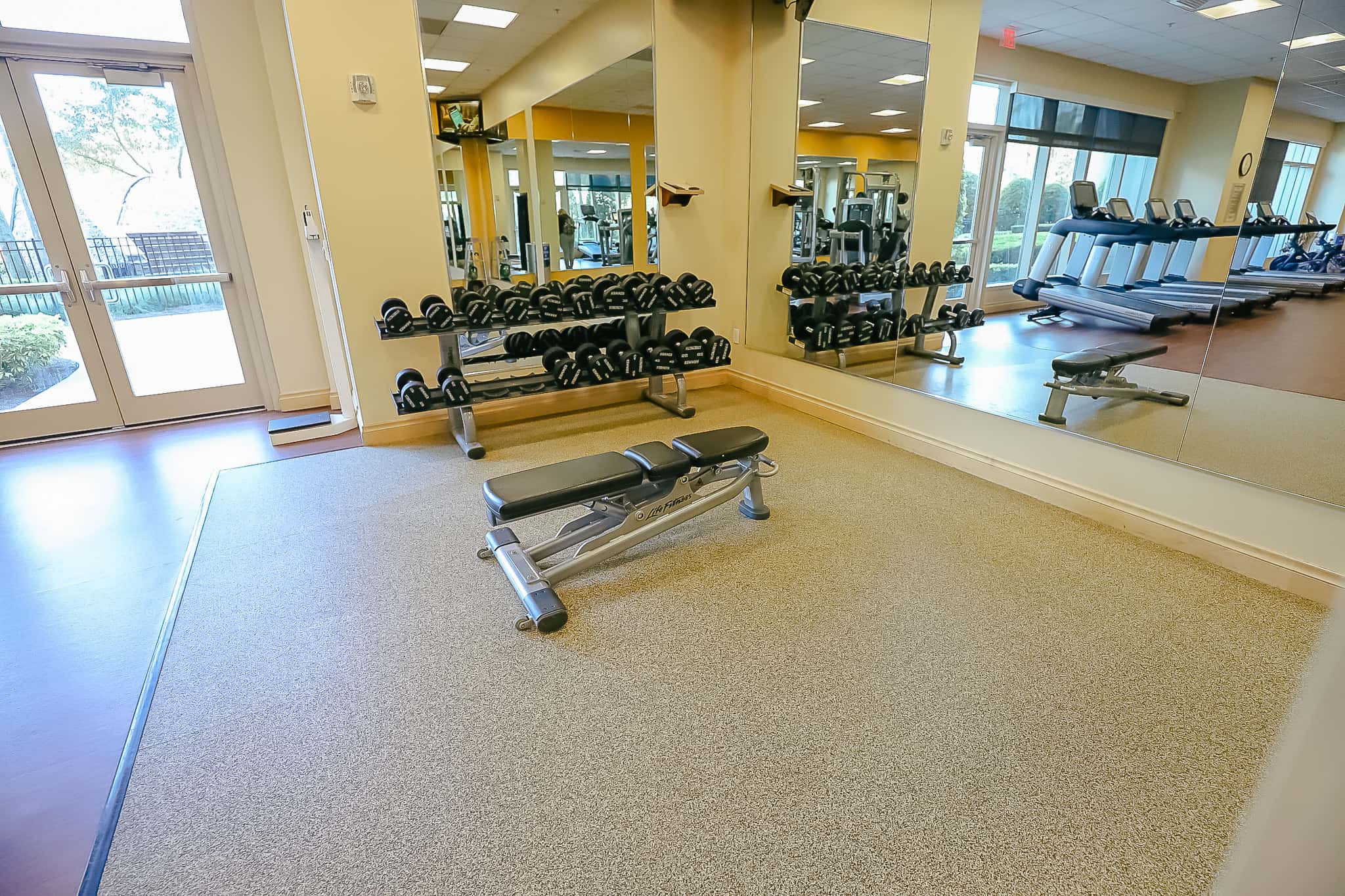 free weights area of the gym 