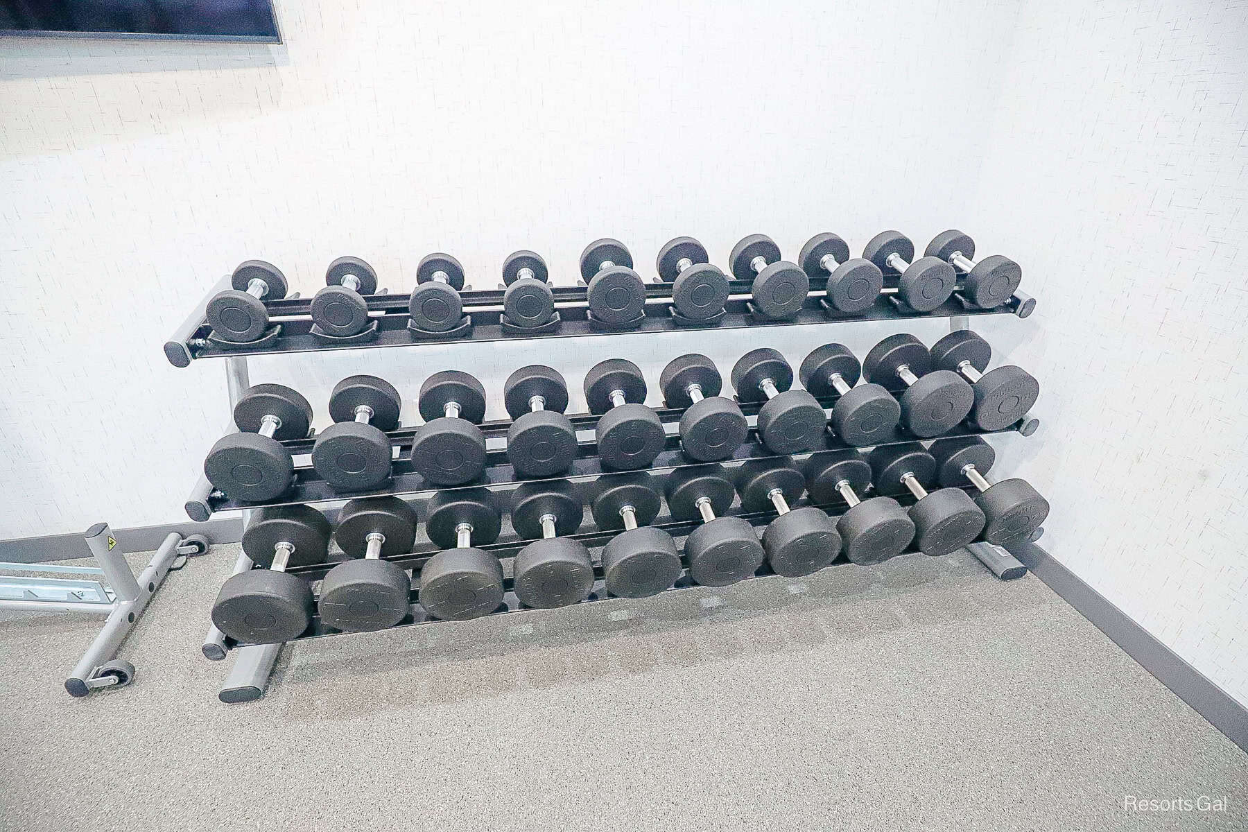 a rack with varying size dumb bells at the Hilton Winter Garden Homes2 Suite 
