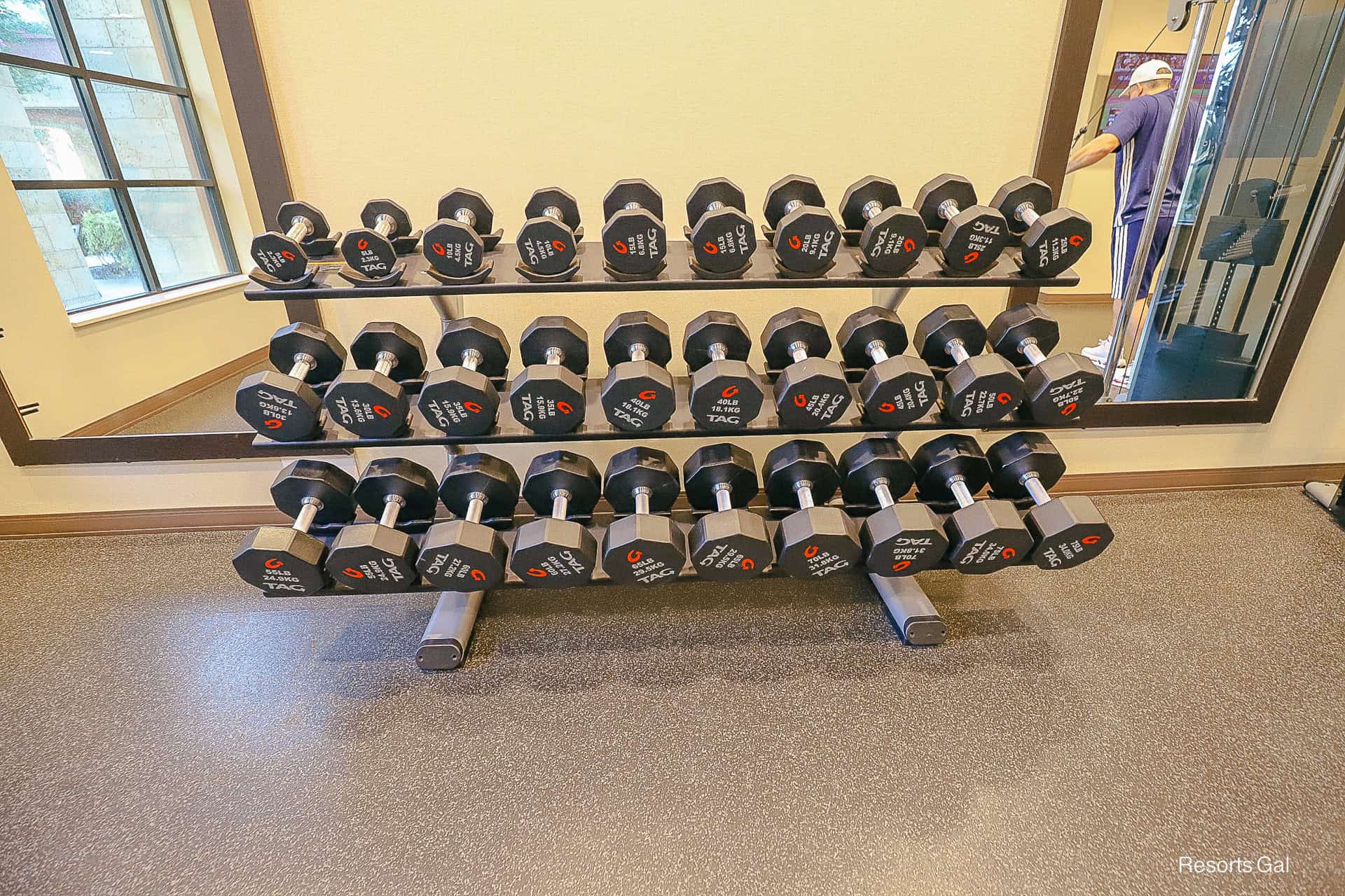a set of dumbbells in various sizes