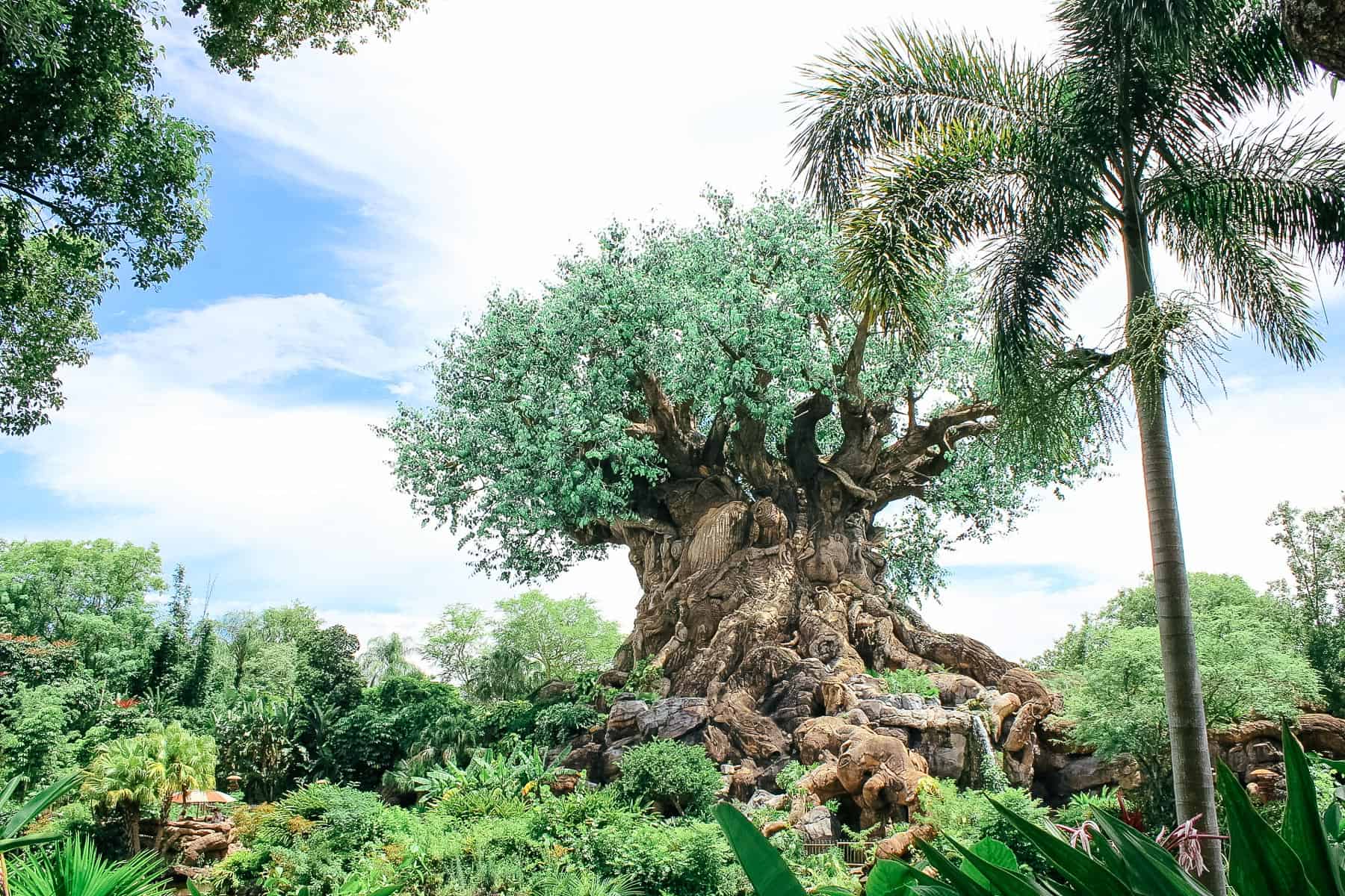 The iconic symbol for Disney's Animal Kingdom 