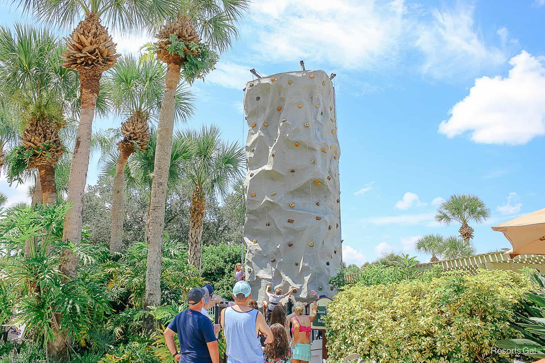 rock climbing wall near the pool 