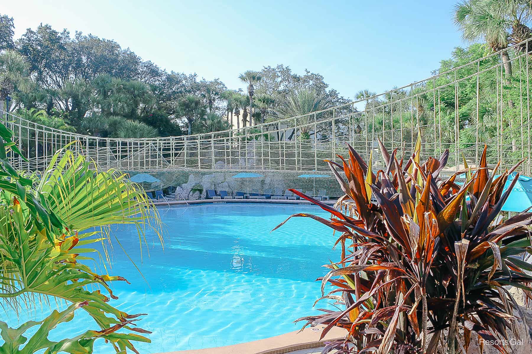 The pool at Hyatt Regency Grand Cypress 