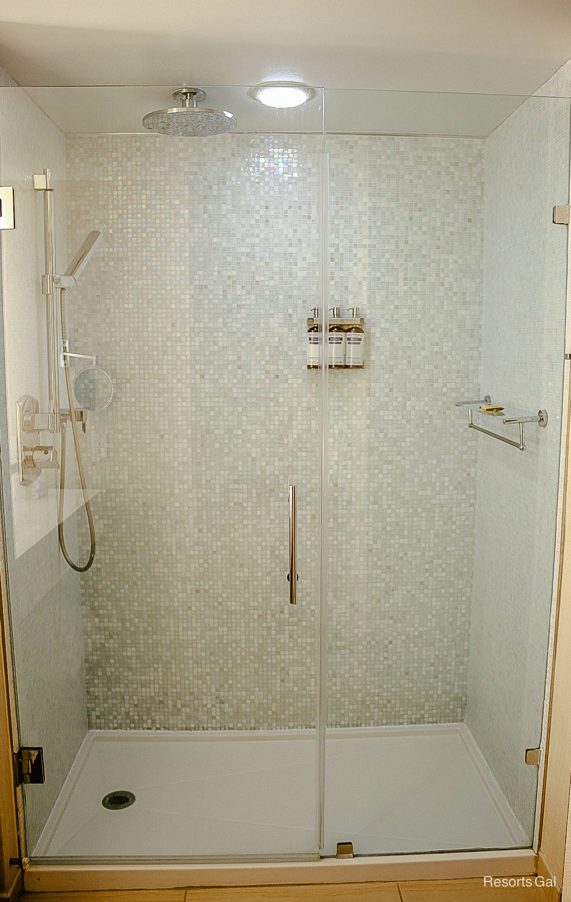 close-up view of the walk-in shower in standard room at the Hyatt Regency Grand Cypress 