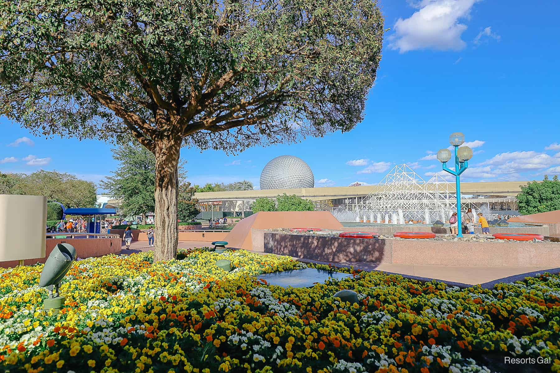 The gardens around the Imagination Pavilion at Epcot when the marigolds are in bloom. 