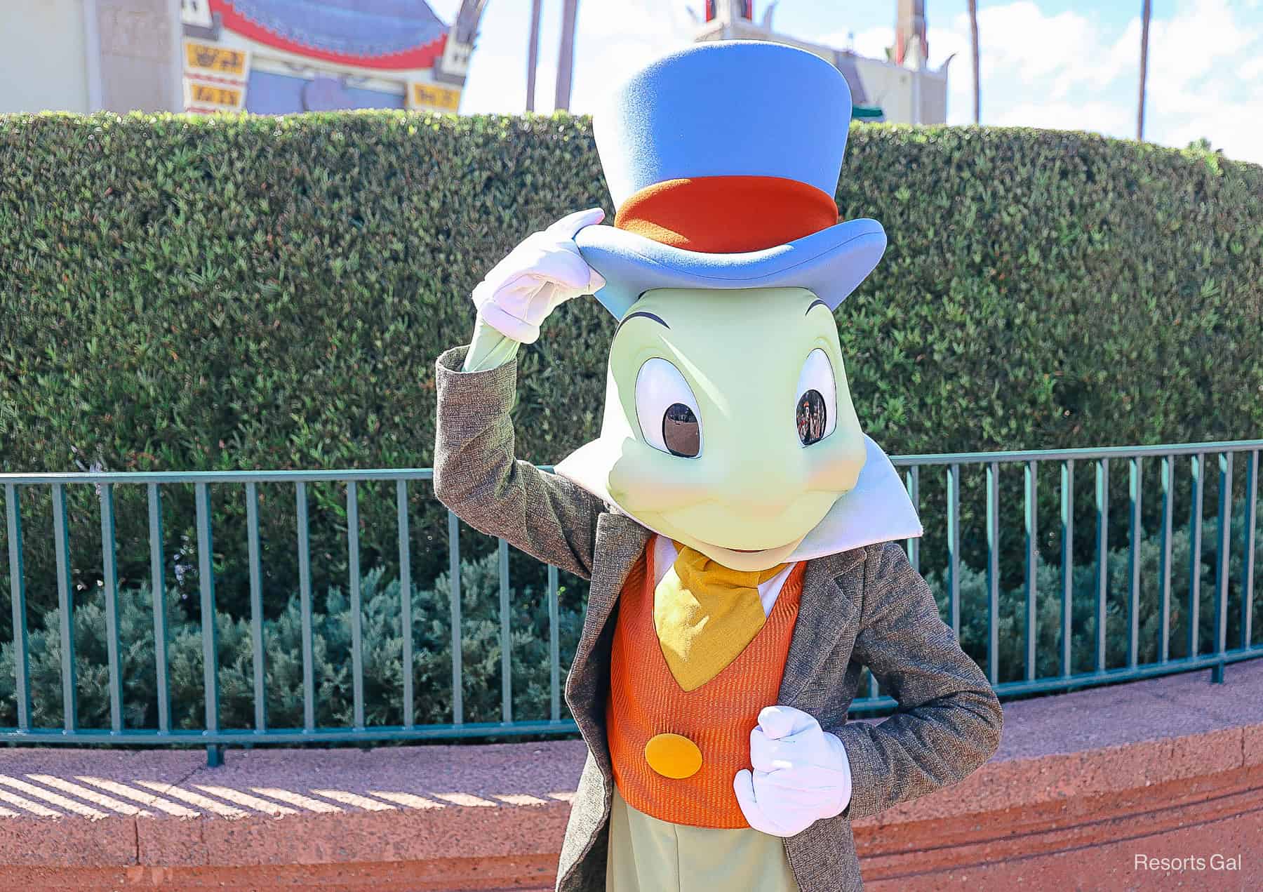 Jiminy Cricket hat tip in front of the hedge