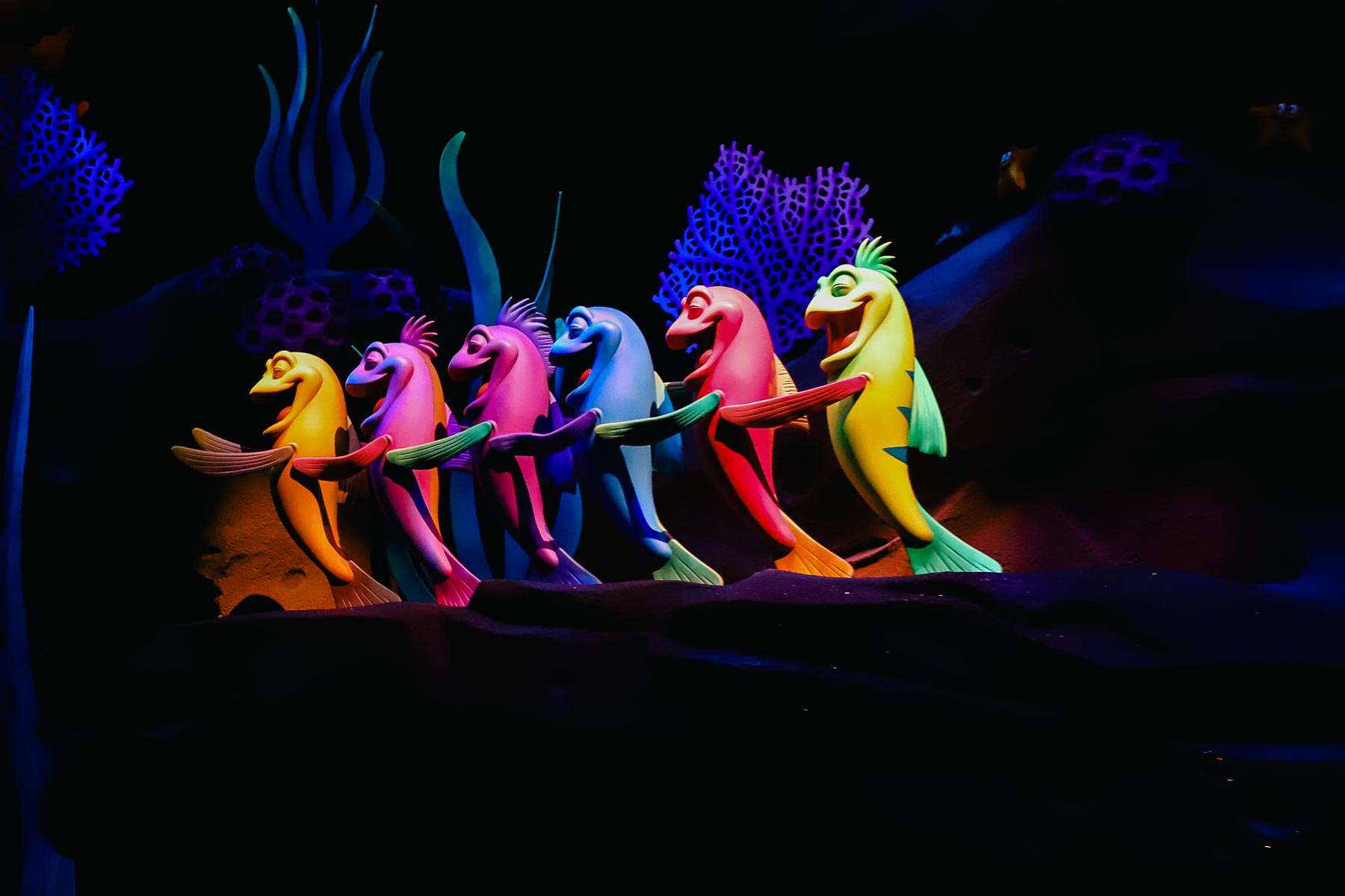 A row of fish dancing to the music on the ride. 