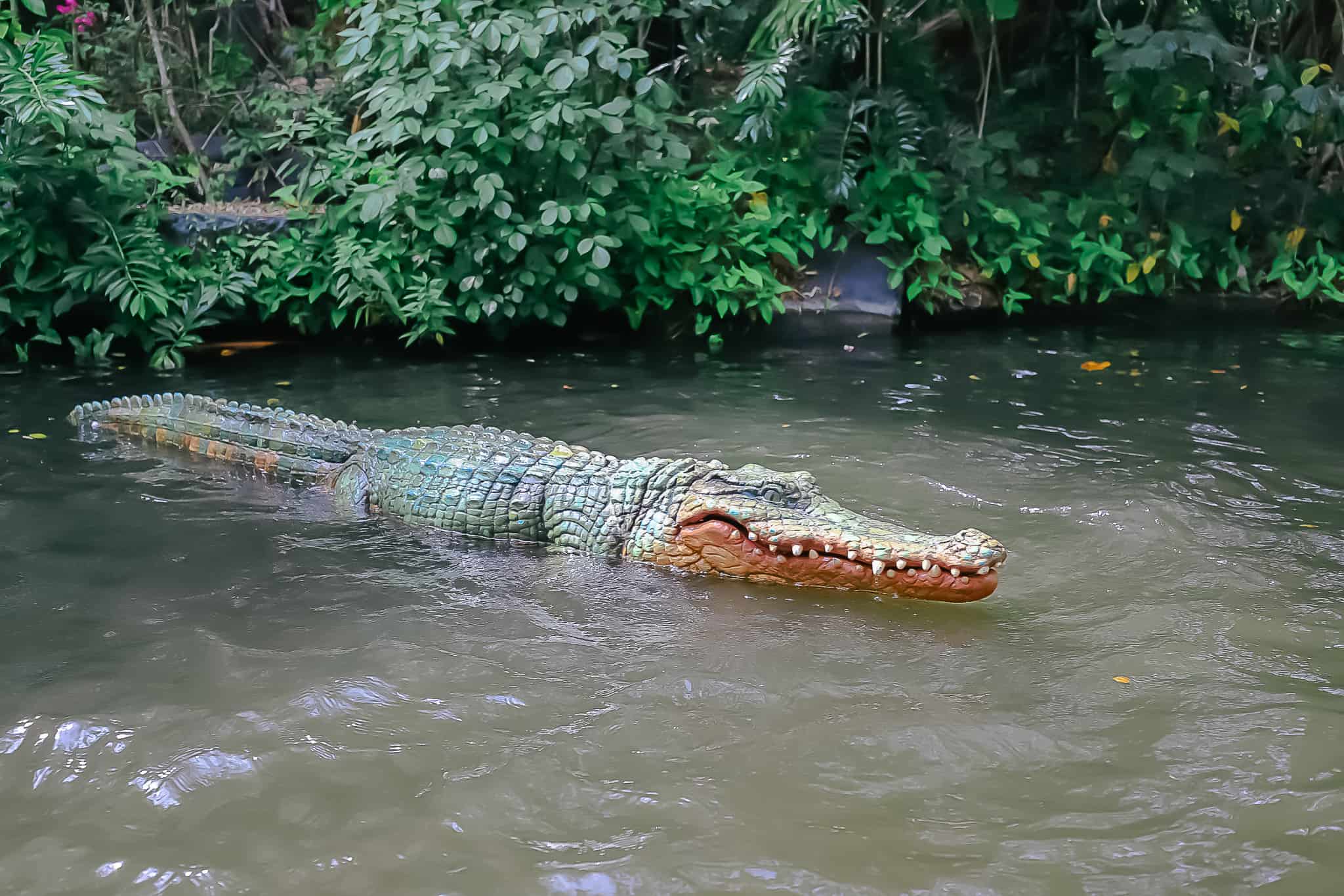 A crocodile in the waters of the Jungle Cruise. 