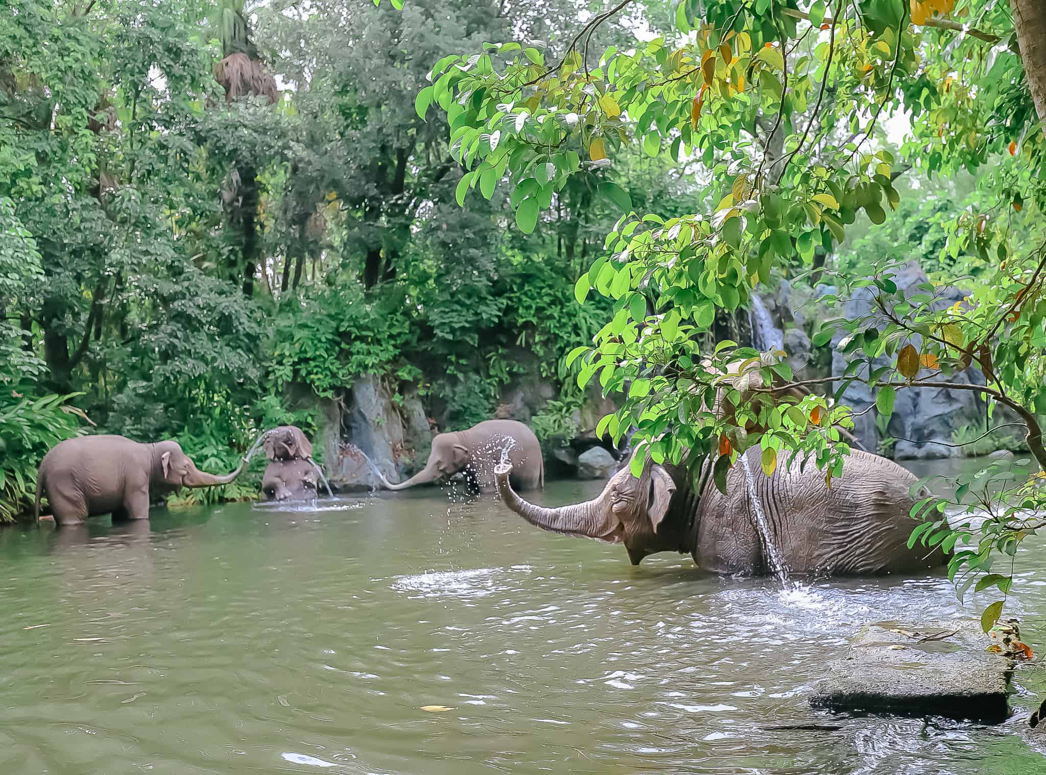 a group of animatronic elephants splashing 