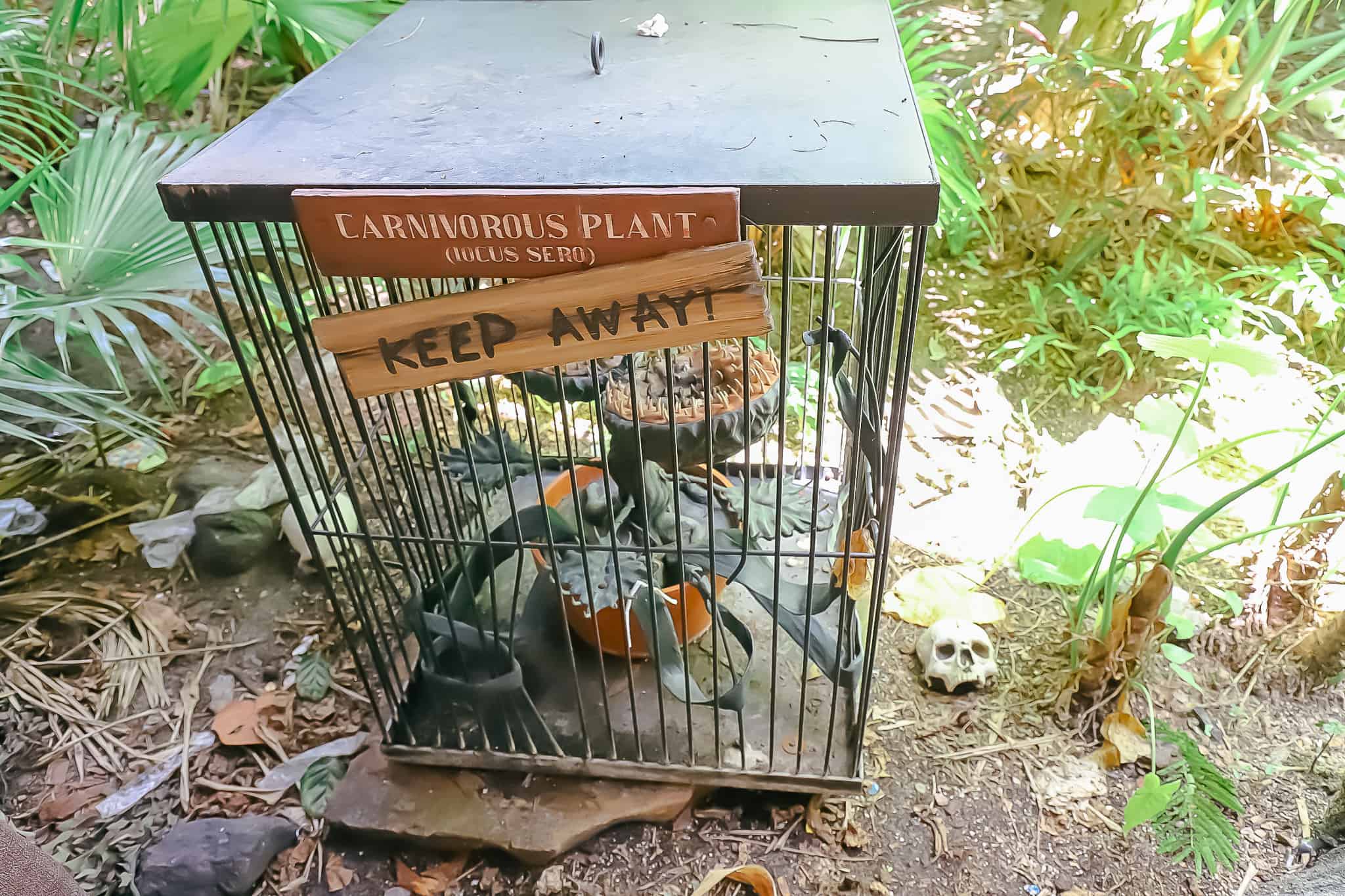 a fun element that shows a caged carnivorous plant in the queue 